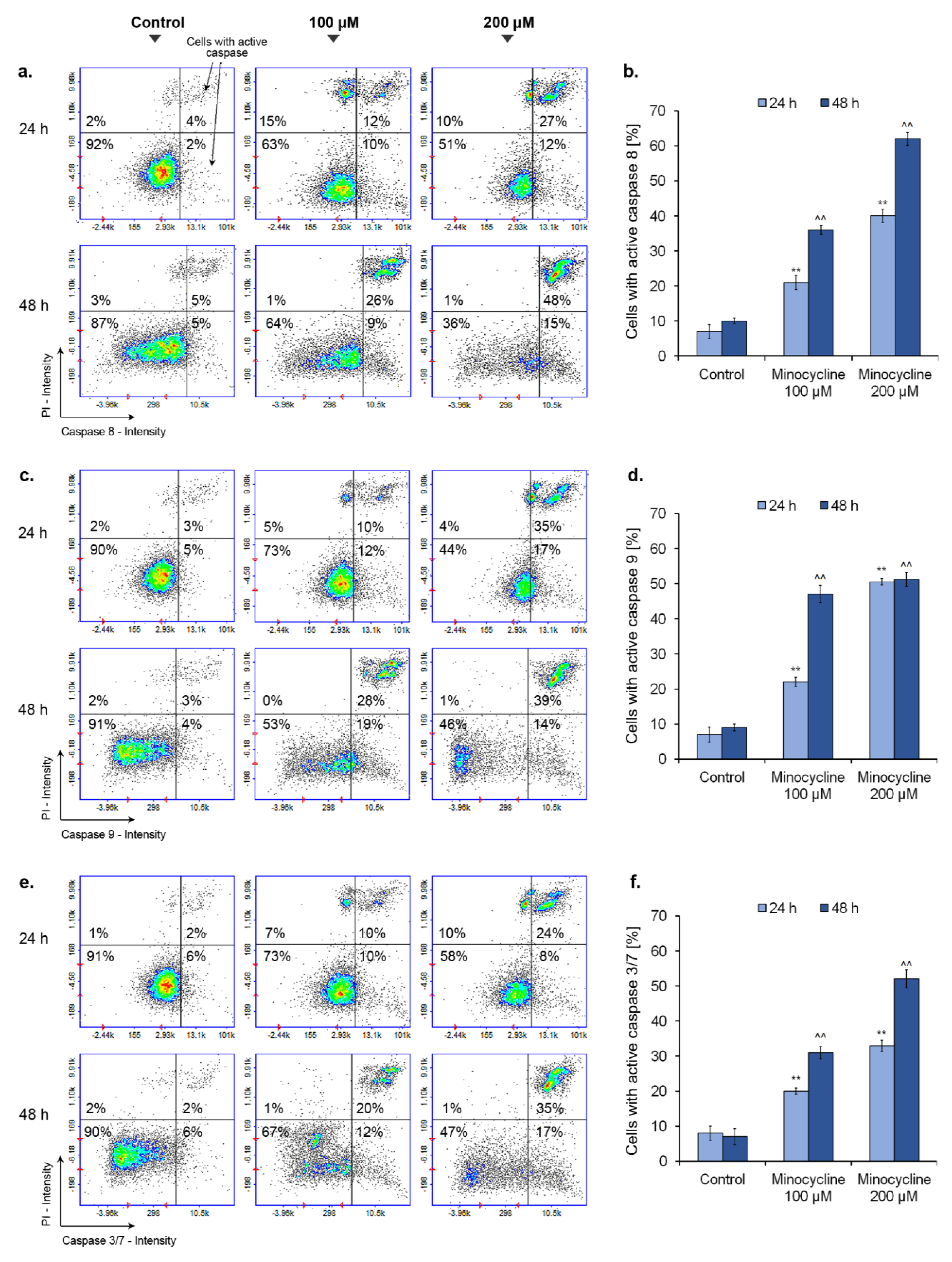 Ijms 21 06917 g010 Ijms 21 06917 g010