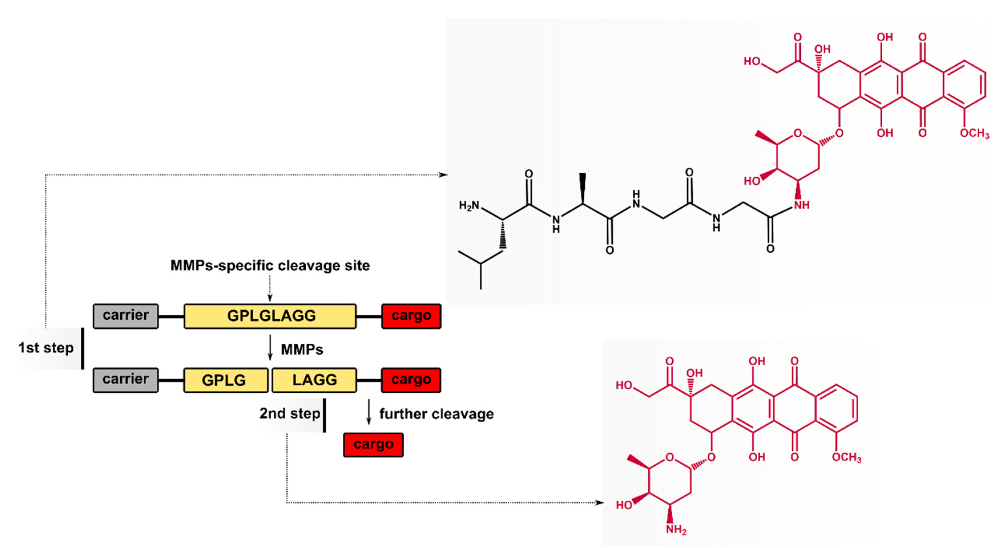 Ijms 21 06923 g001 Ijms 21 06923 g001