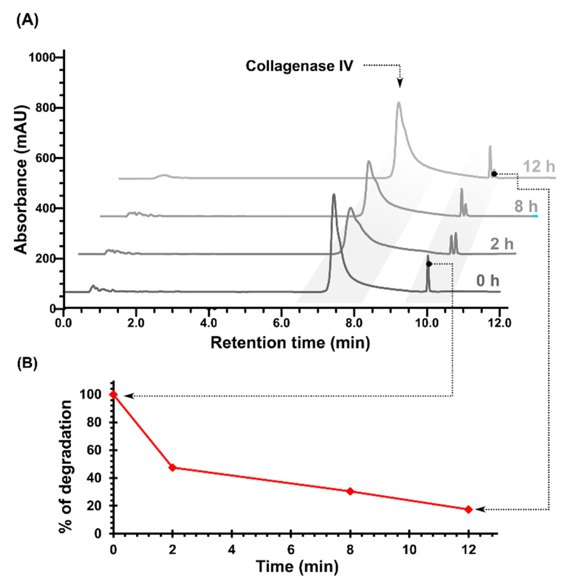 Ijms 21 06923 g002 Ijms 21 06923 g002