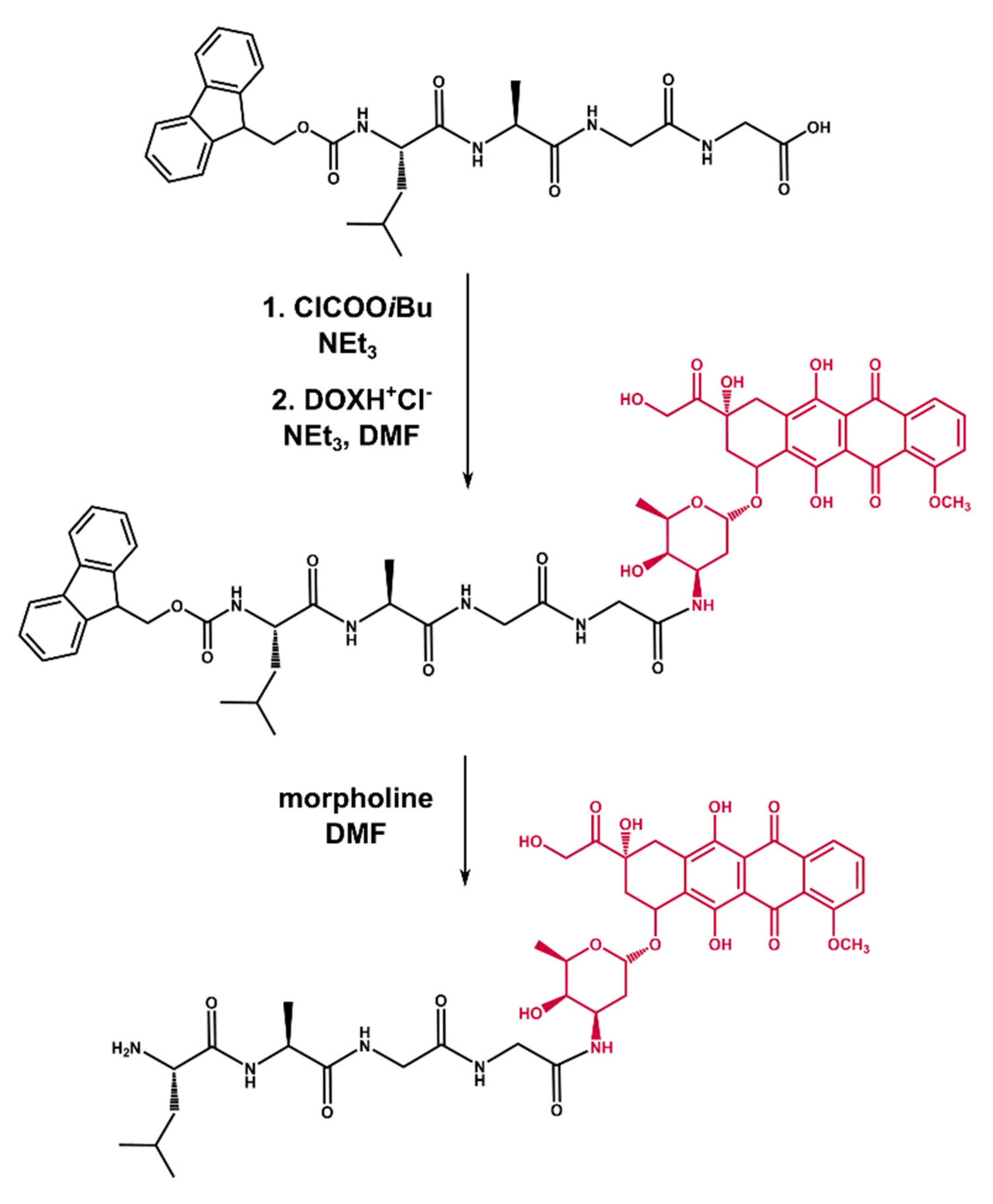 Ijms 21 06923 g003 Ijms 21 06923 g003