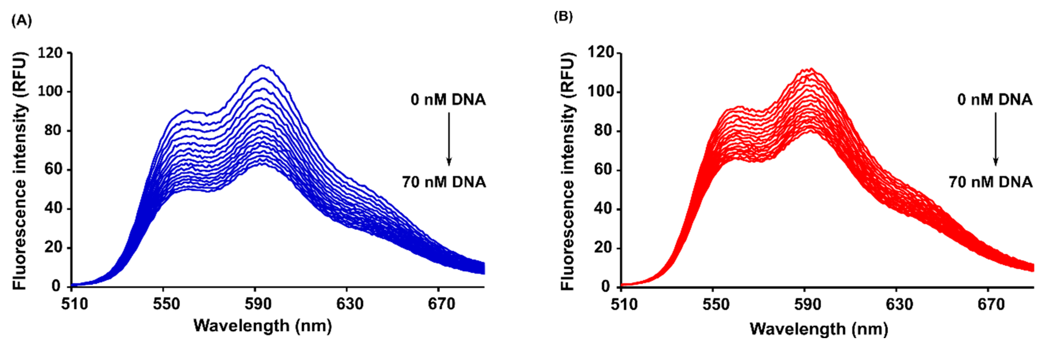 Ijms 21 06923 g005 Ijms 21 06923 g005