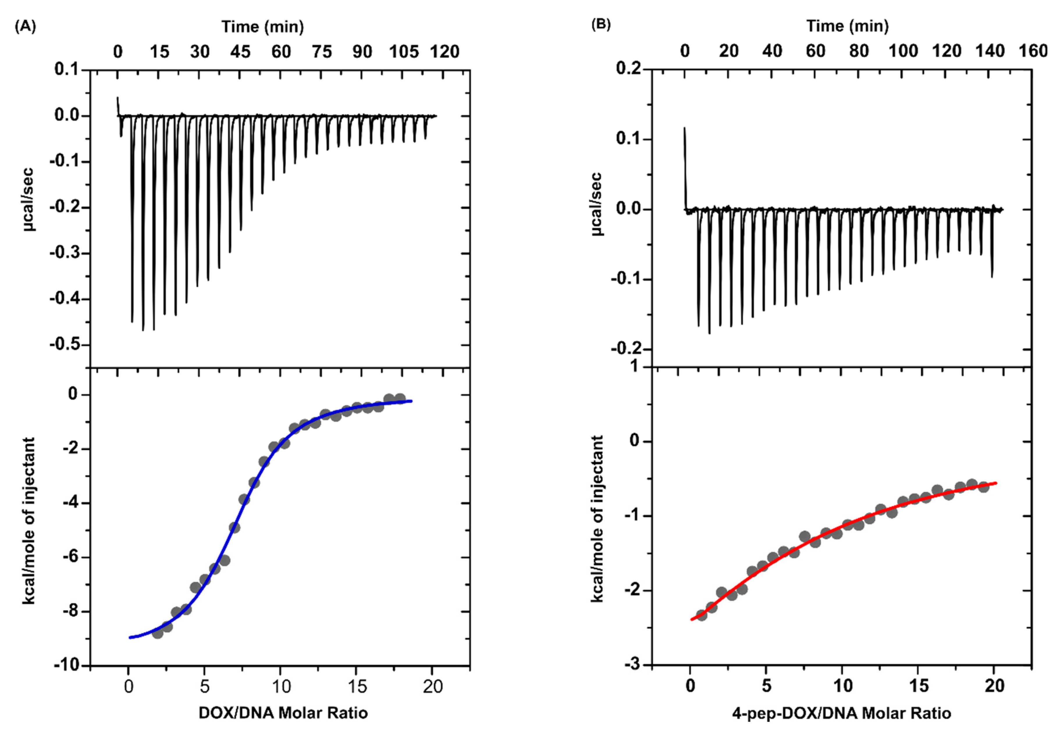 Ijms 21 06923 g009 Ijms 21 06923 g009