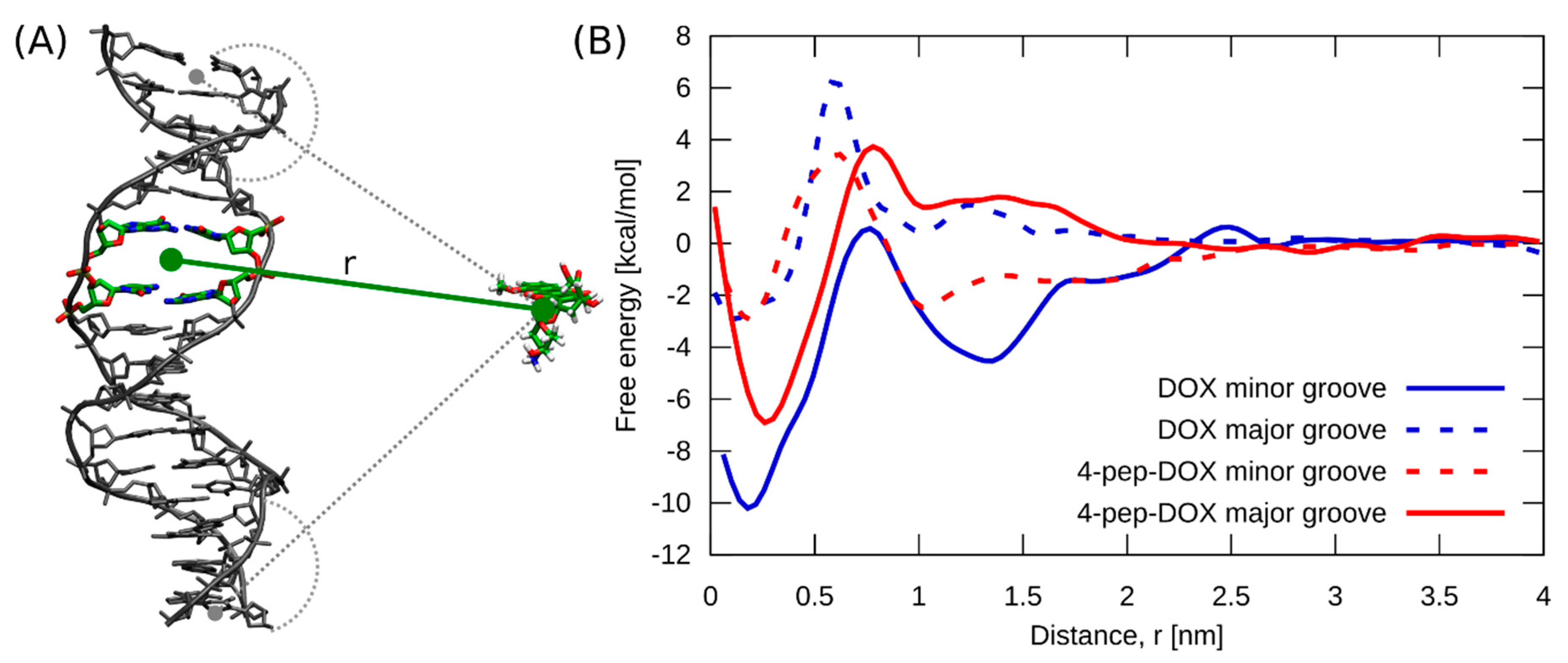 Ijms 21 06923 g010 Ijms 21 06923 g010