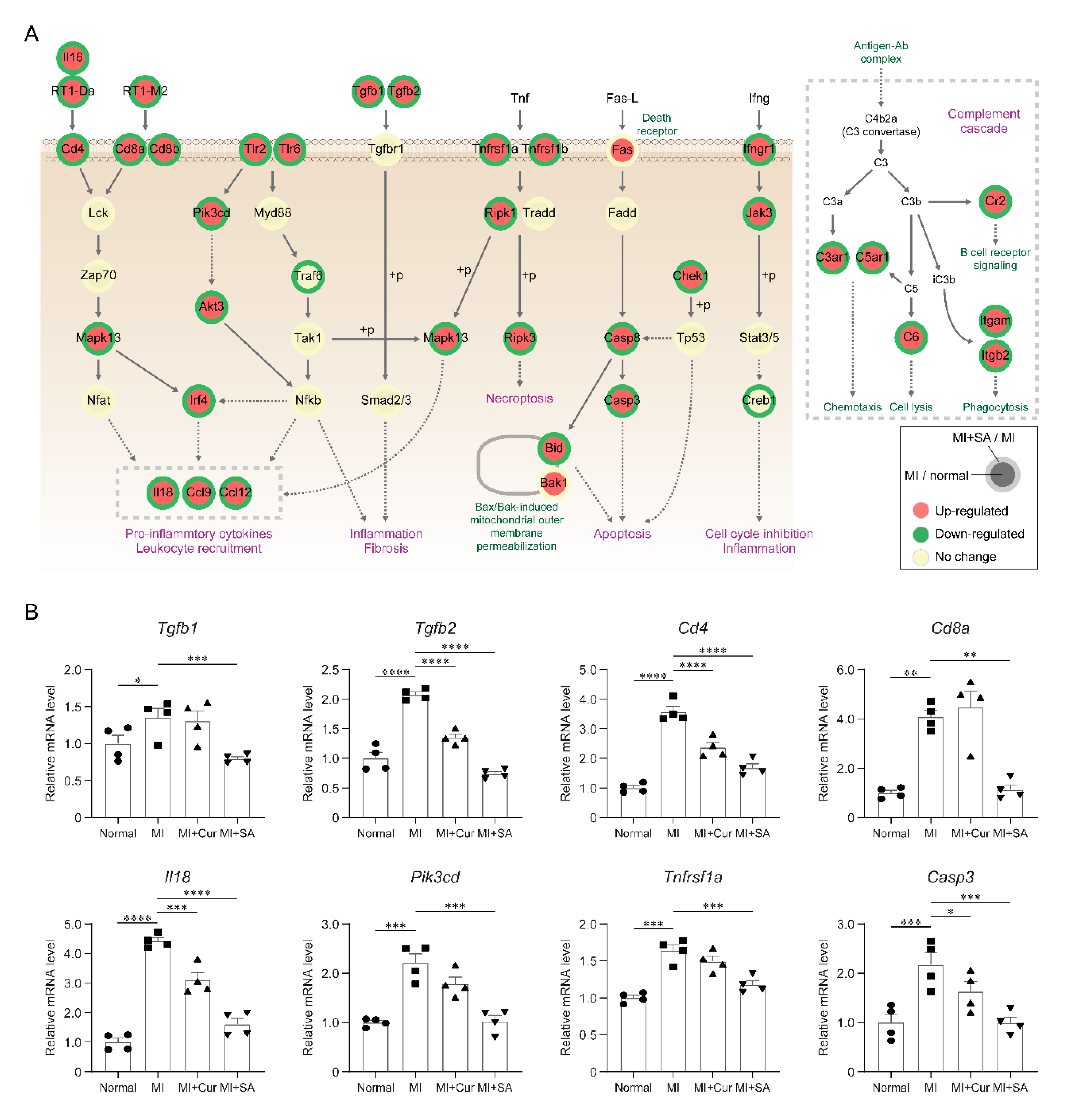 Ijms 21 06935 g005 Ijms 21 06935 g005