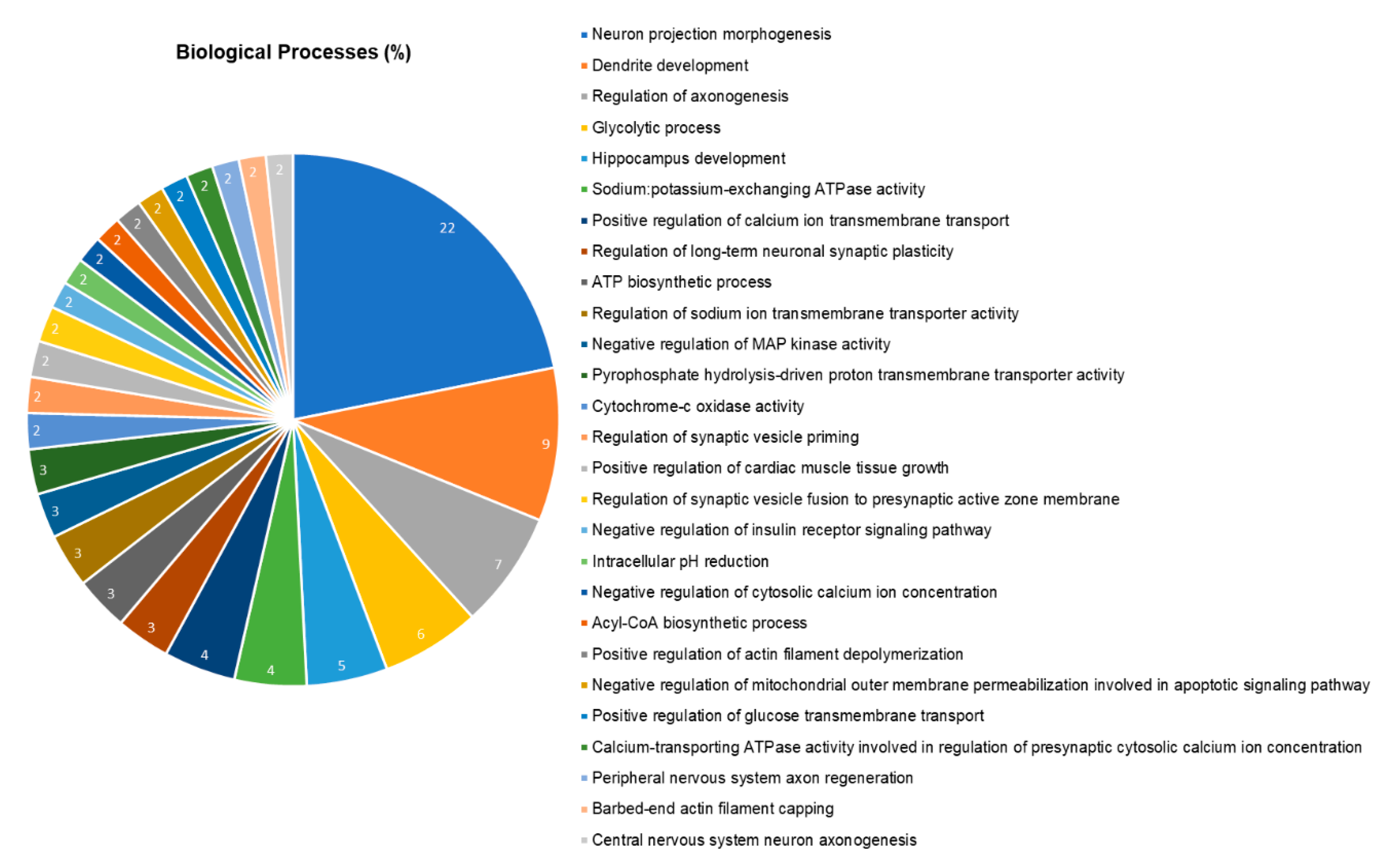Ijms 21 06937 g004 Ijms 21 06937 g004