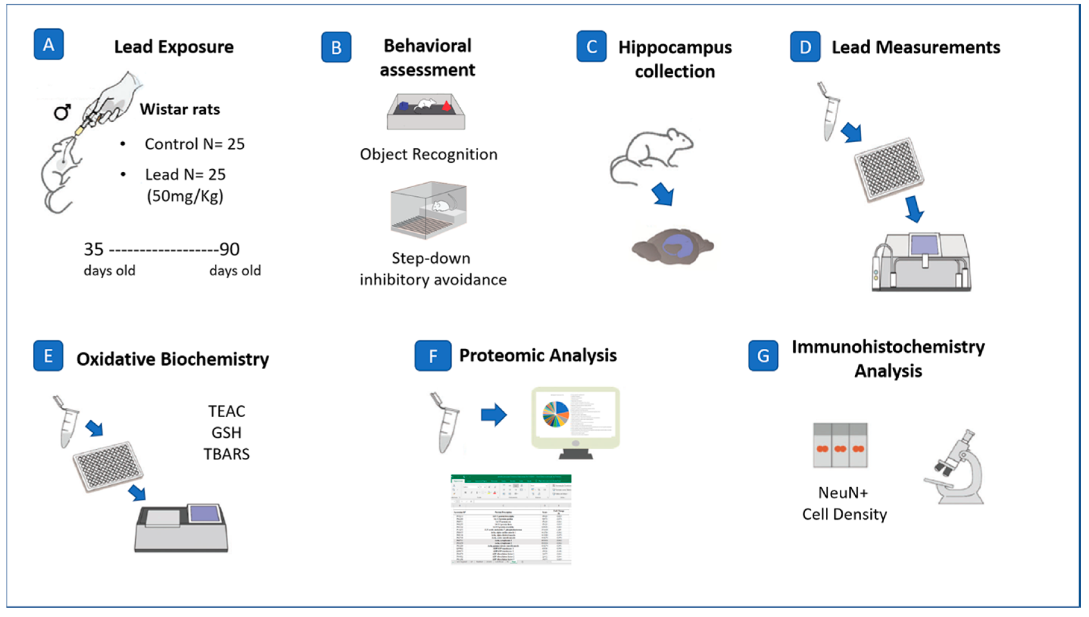 Ijms 21 06937 g006 Ijms 21 06937 g006