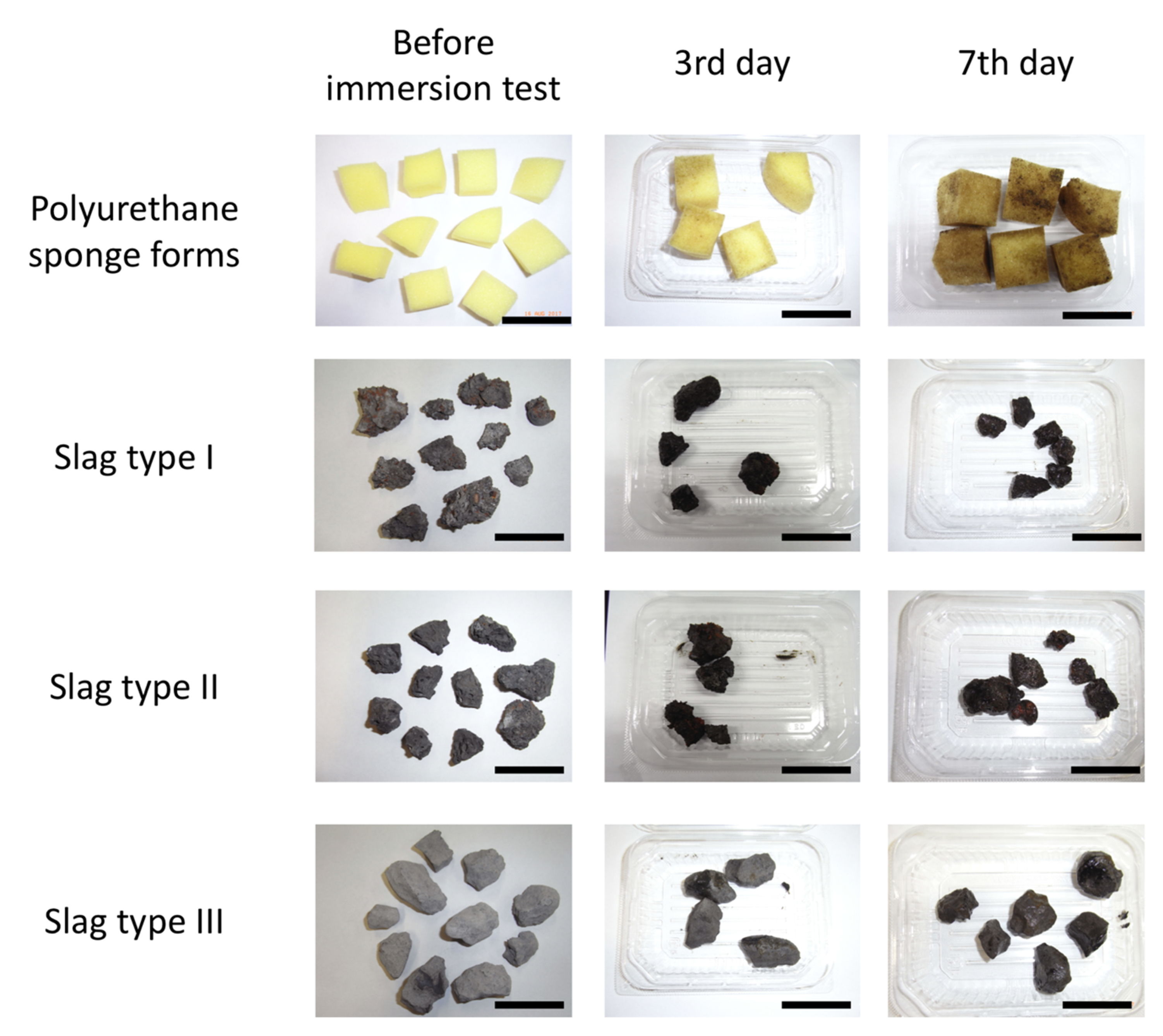 Ijms 21 06945 g001 Ijms 21 06945 g001