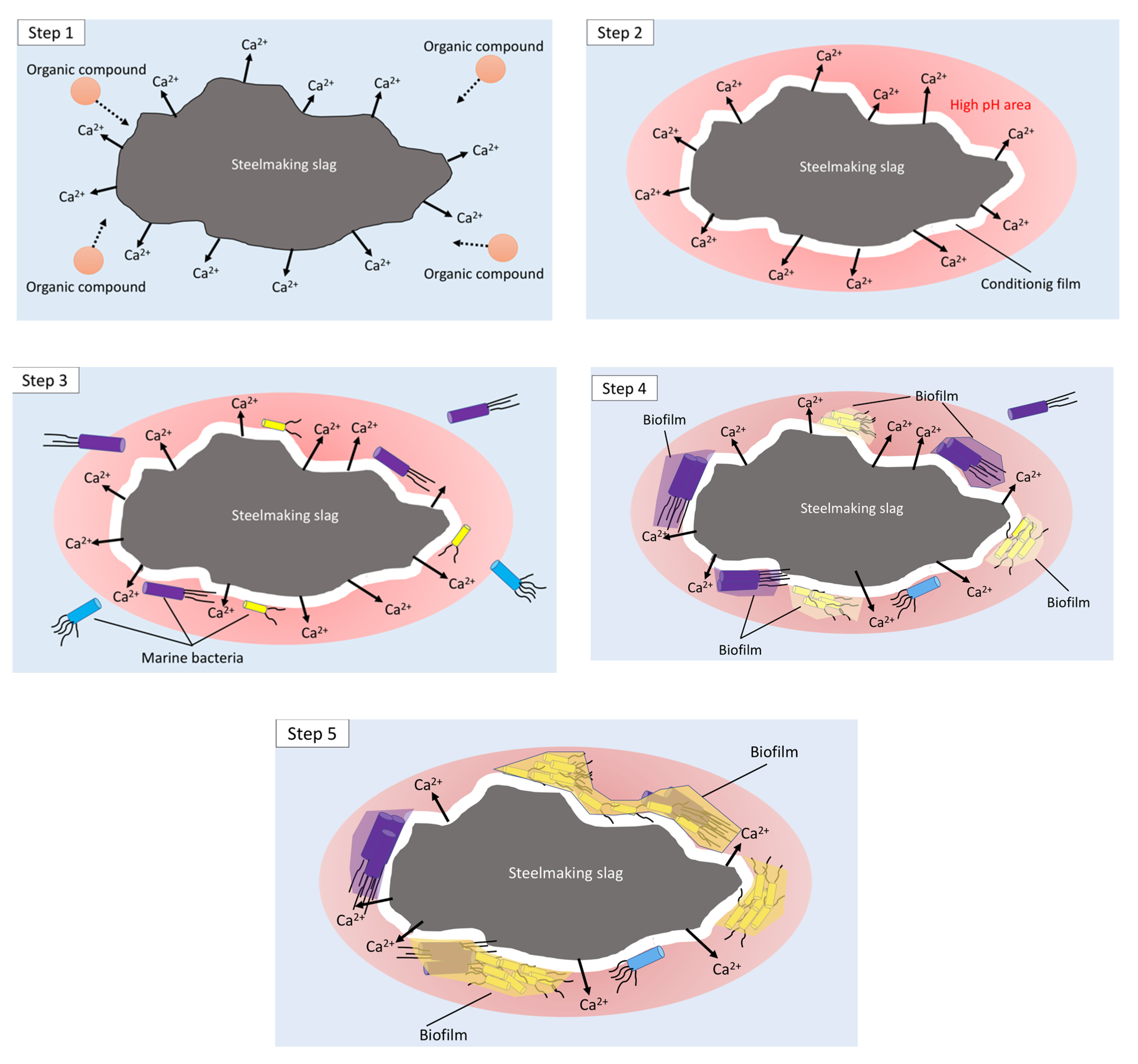 Ijms 21 06945 g006 Ijms 21 06945 g006