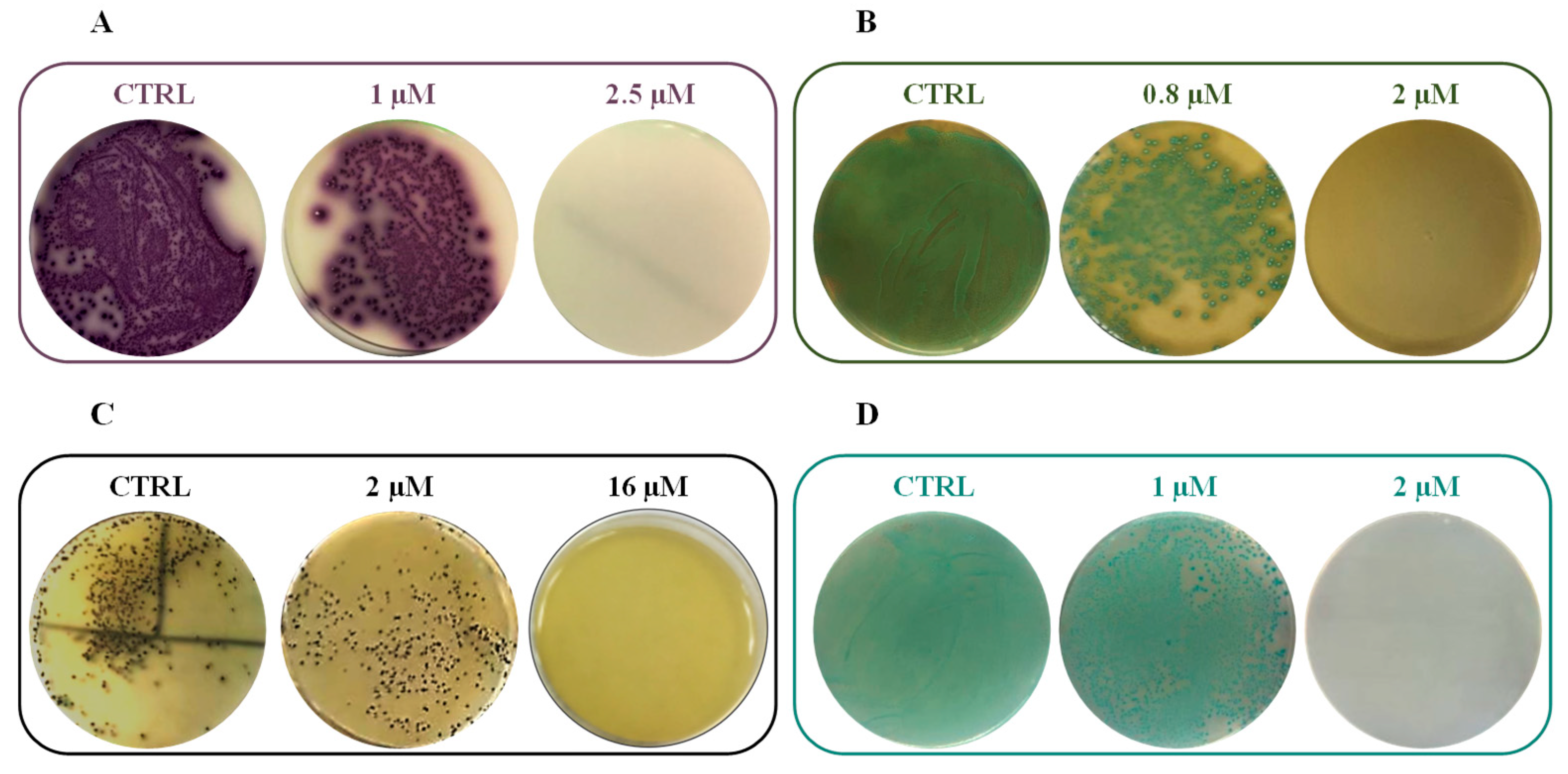 Ijms 21 06952 g006 Ijms 21 06952 g006