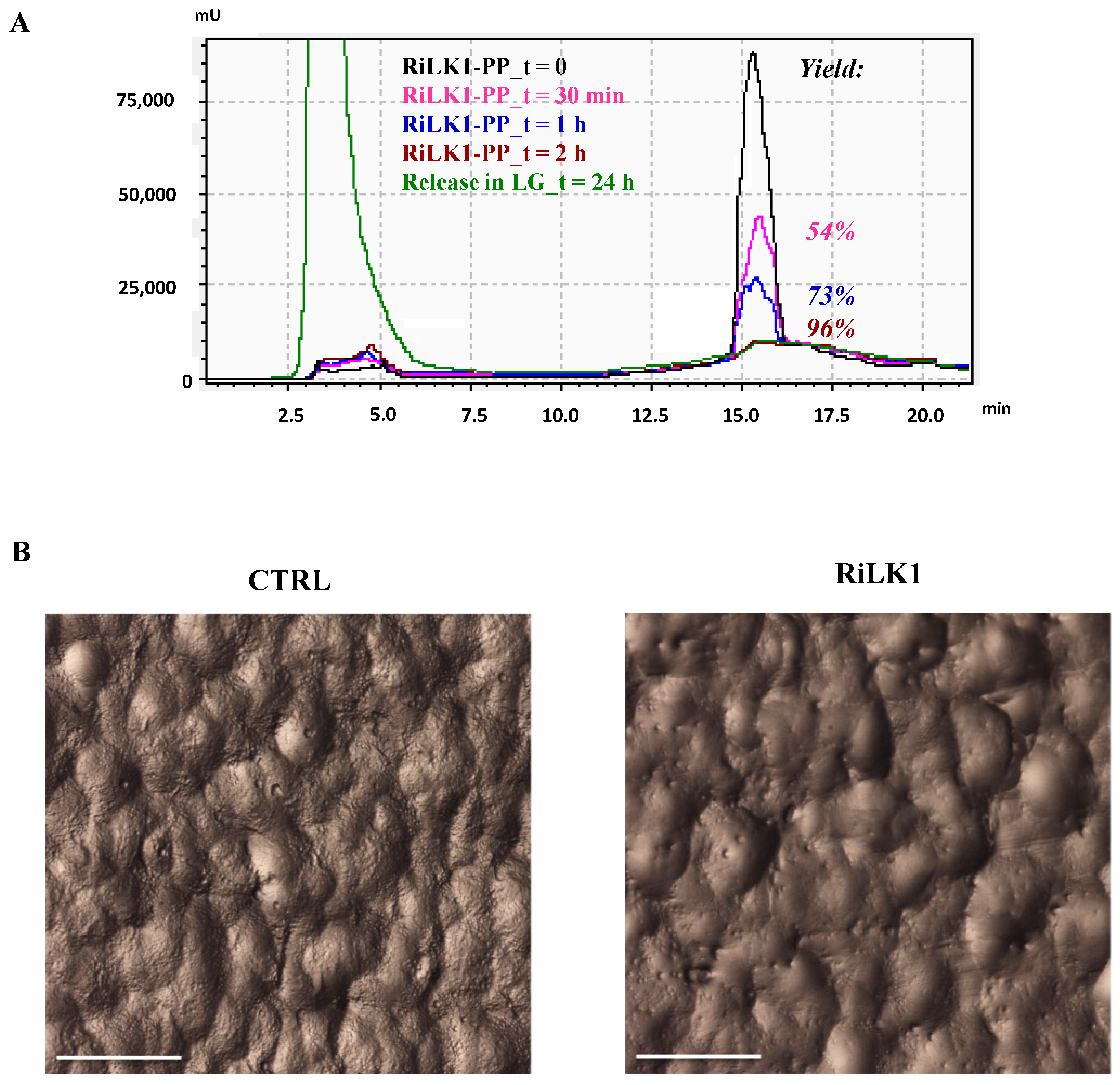 Ijms 21 06952 g009 Ijms 21 06952 g009