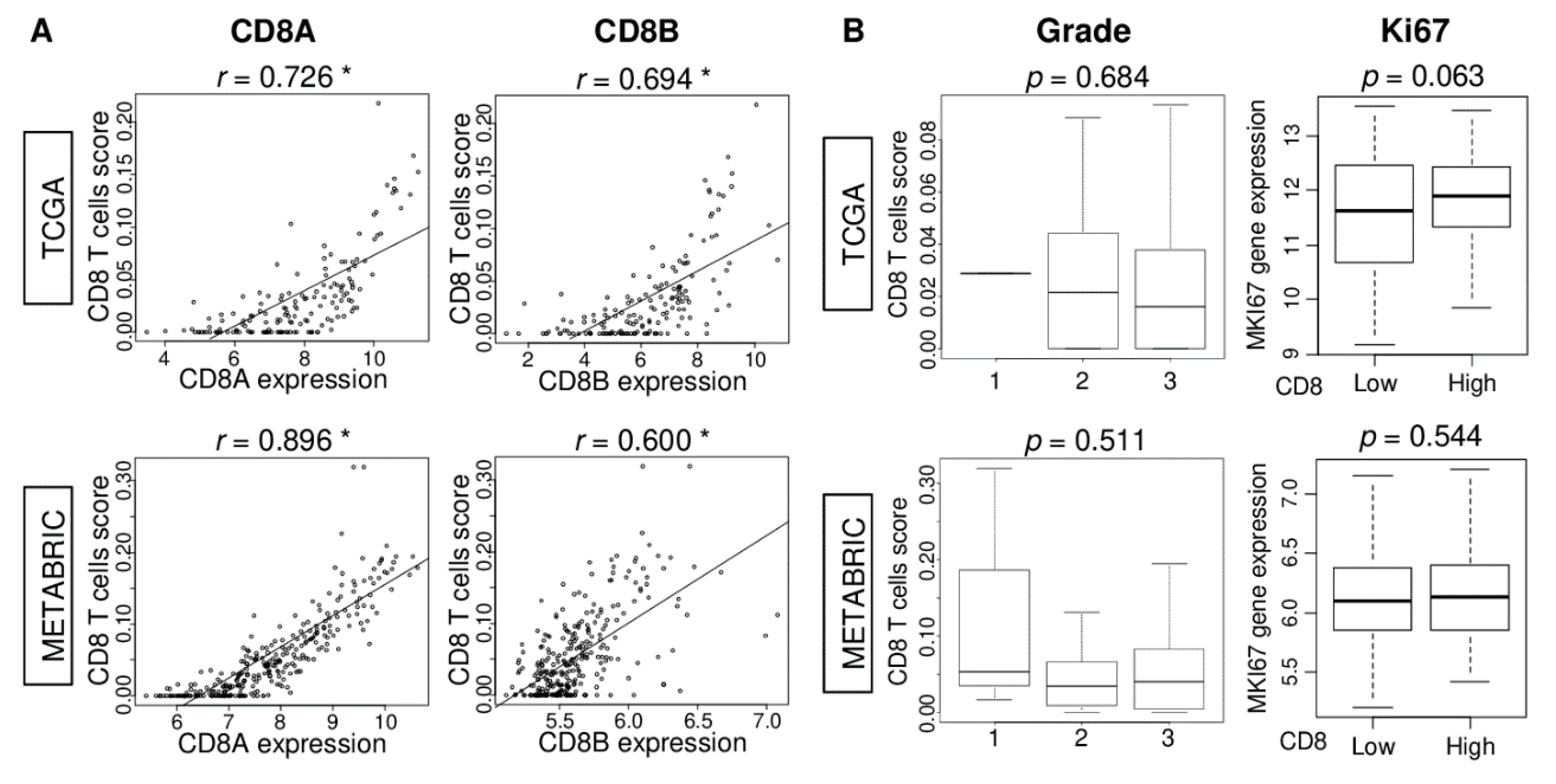 Ijms 21 06968 g003 Ijms 21 06968 g003