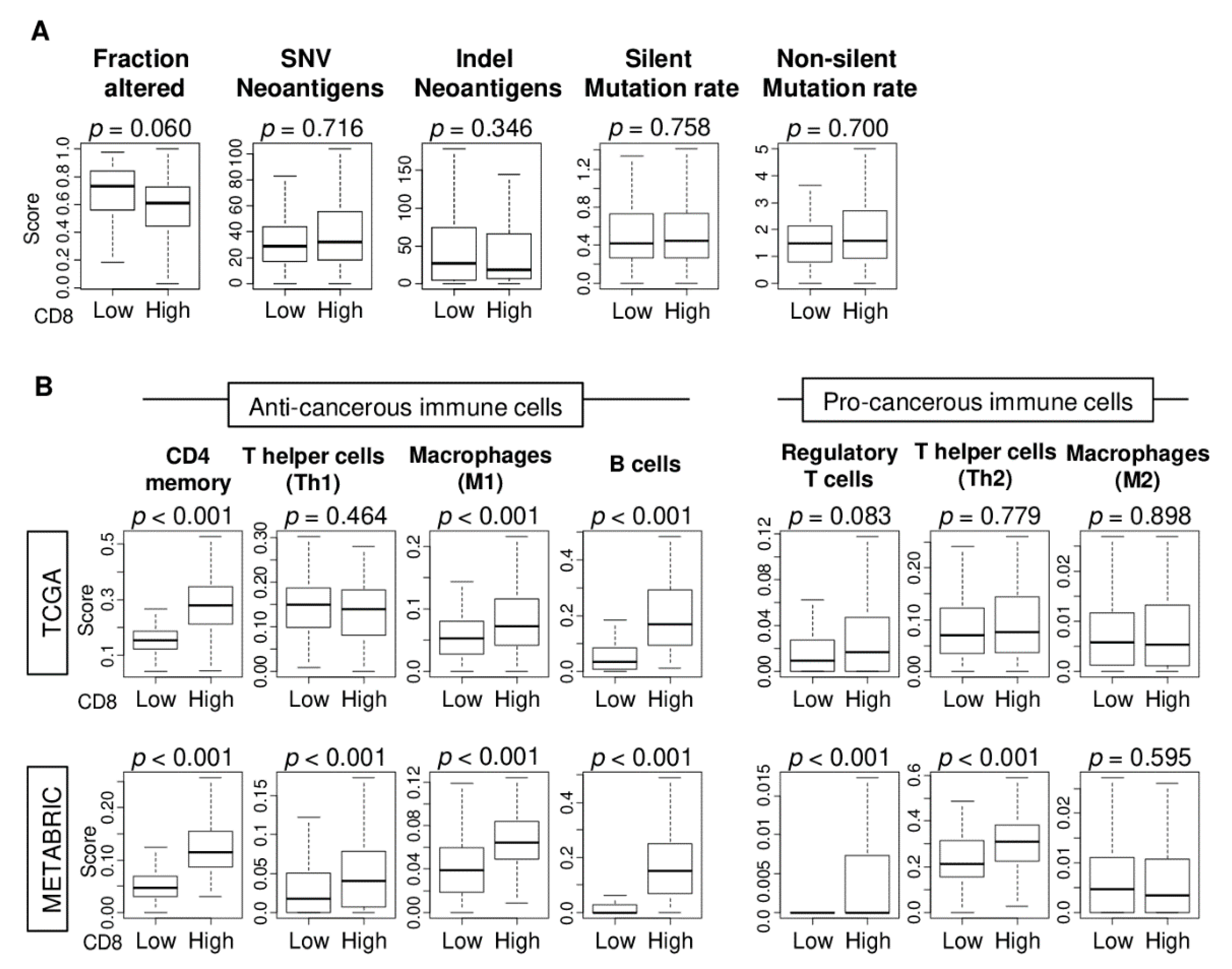 Ijms 21 06968 g005 Ijms 21 06968 g005
