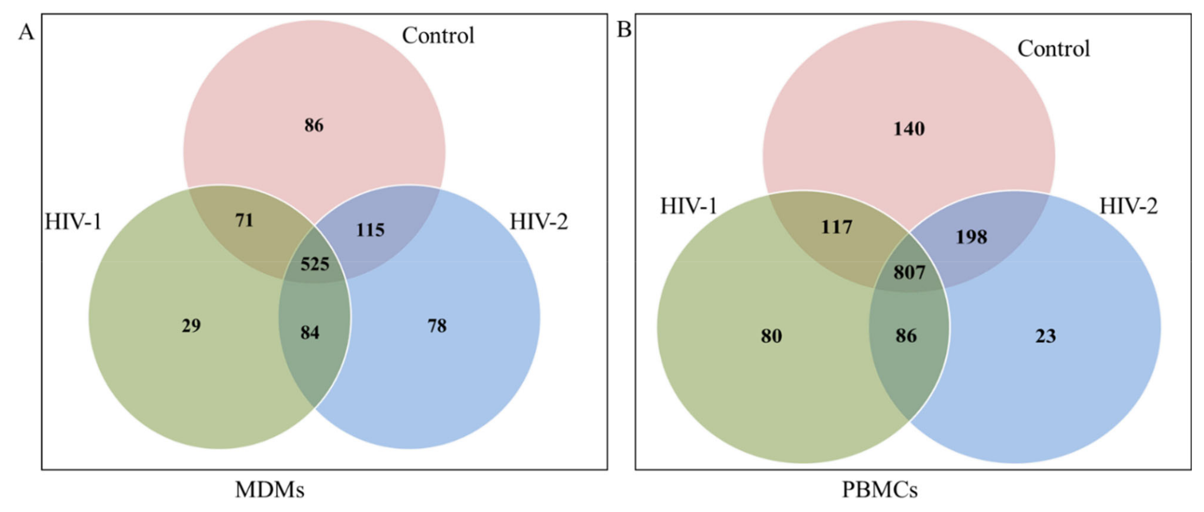 Ijms 21 06970 g001 Ijms 21 06970 g001
