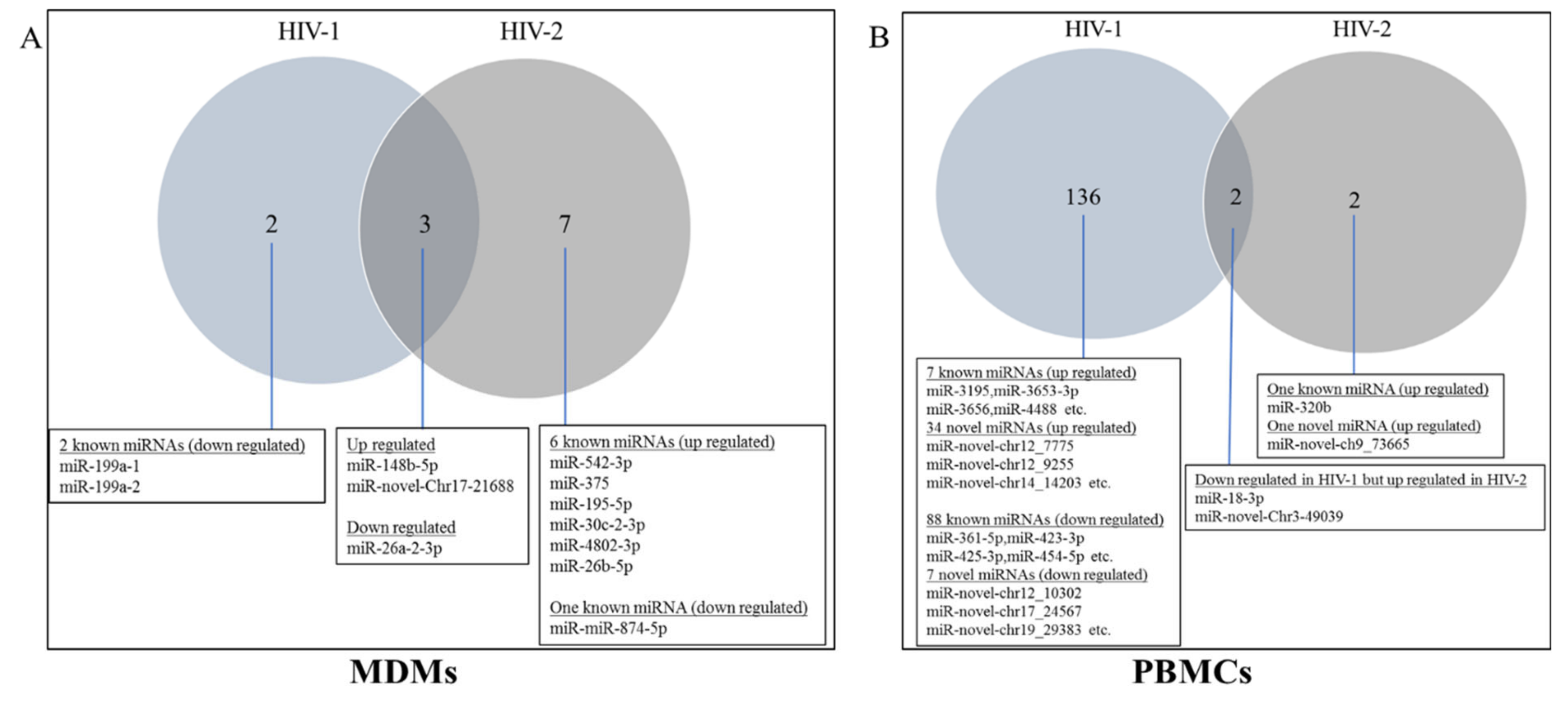 Ijms 21 06970 g004 Ijms 21 06970 g004