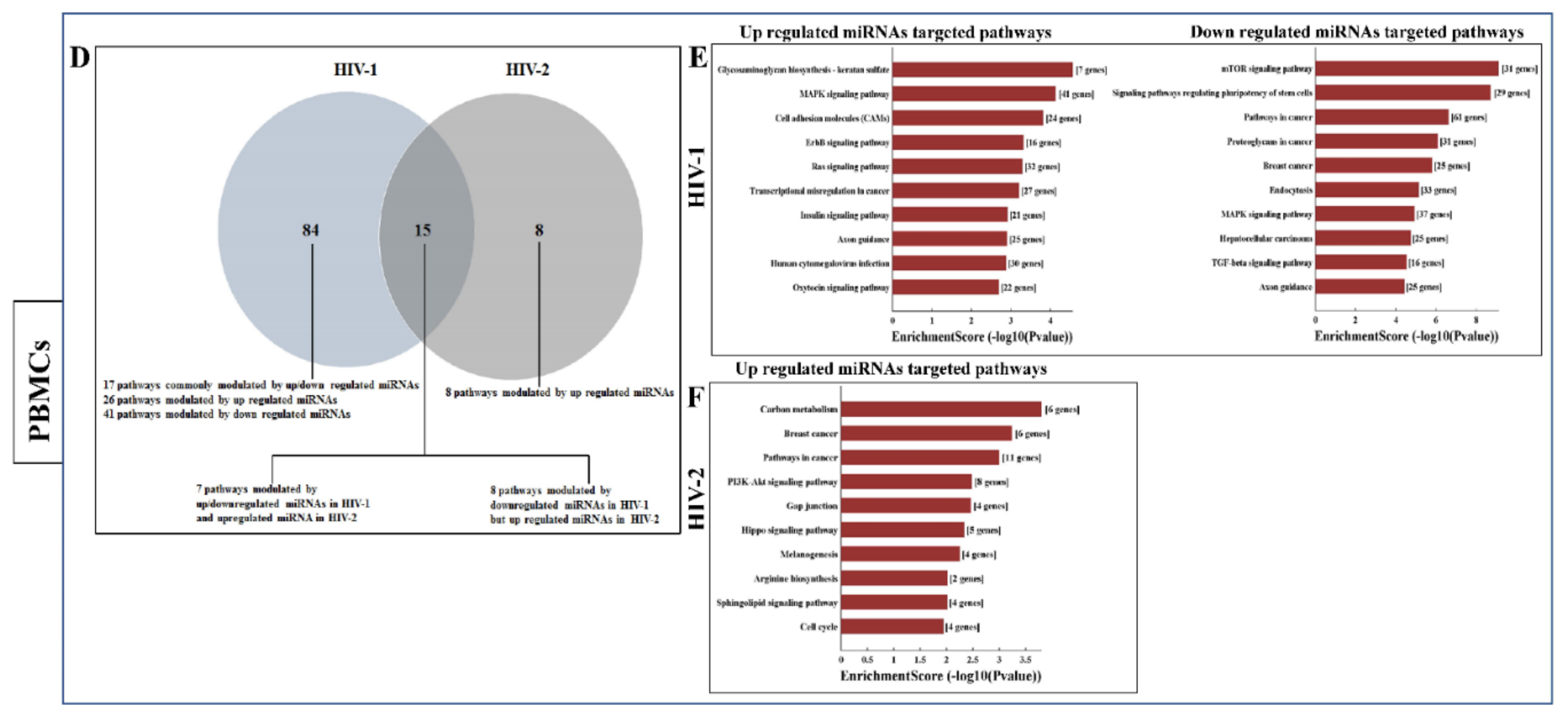 Ijms 21 06970 g006b Ijms 21 06970 g006b