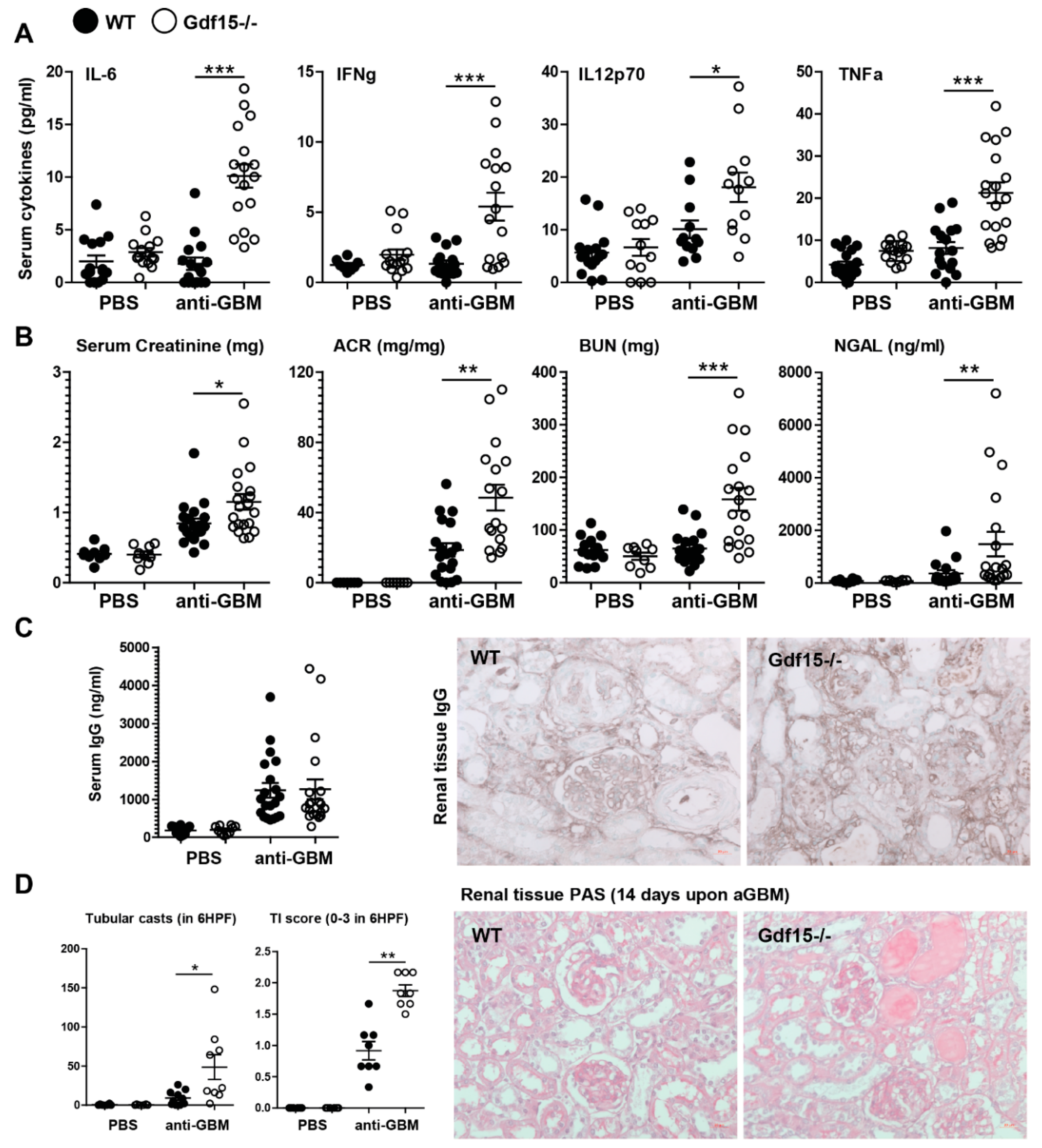 Ijms 21 06978 g002 Ijms 21 06978 g002