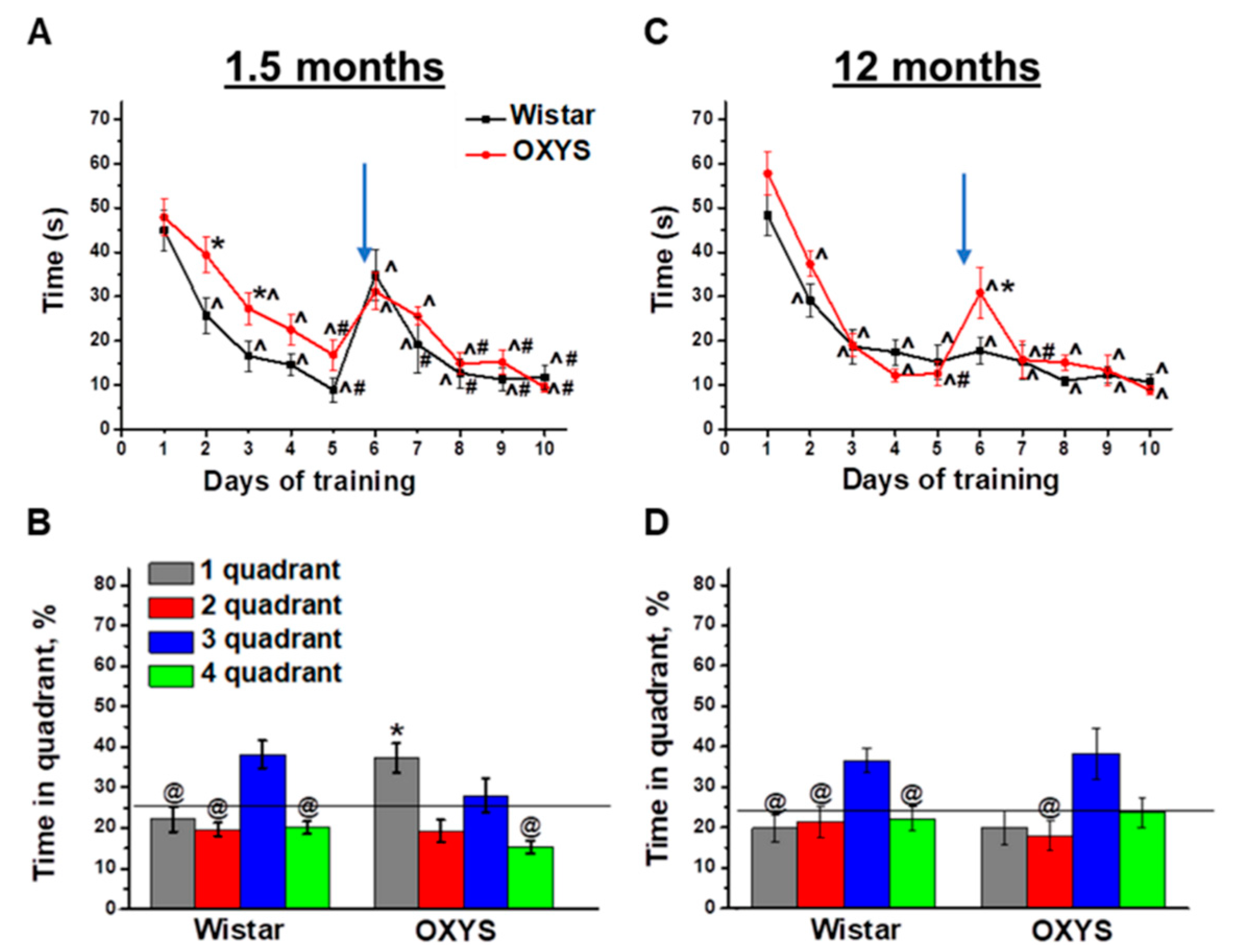 Ijms 21 06986 g001 Ijms 21 06986 g001