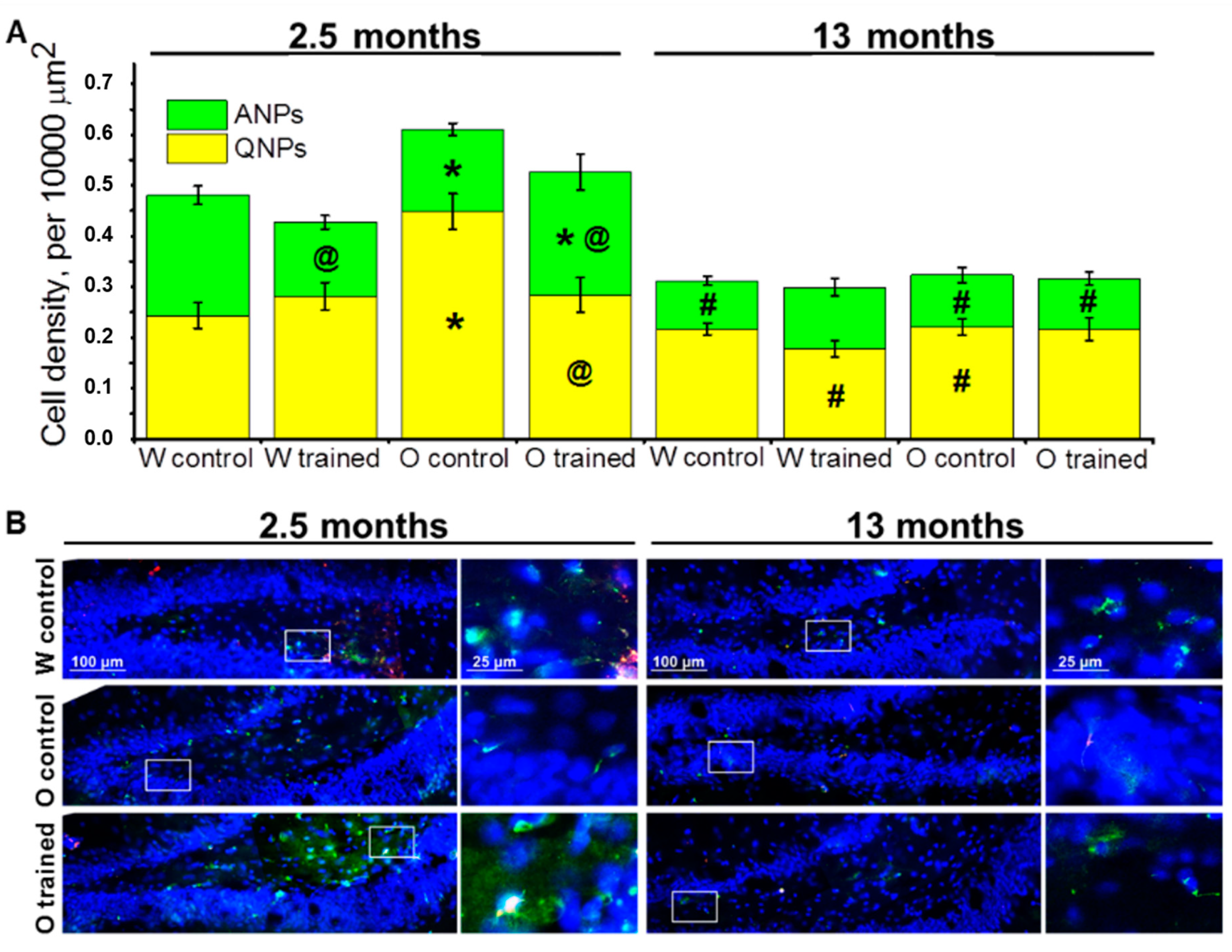 Ijms 21 06986 g002 Ijms 21 06986 g002