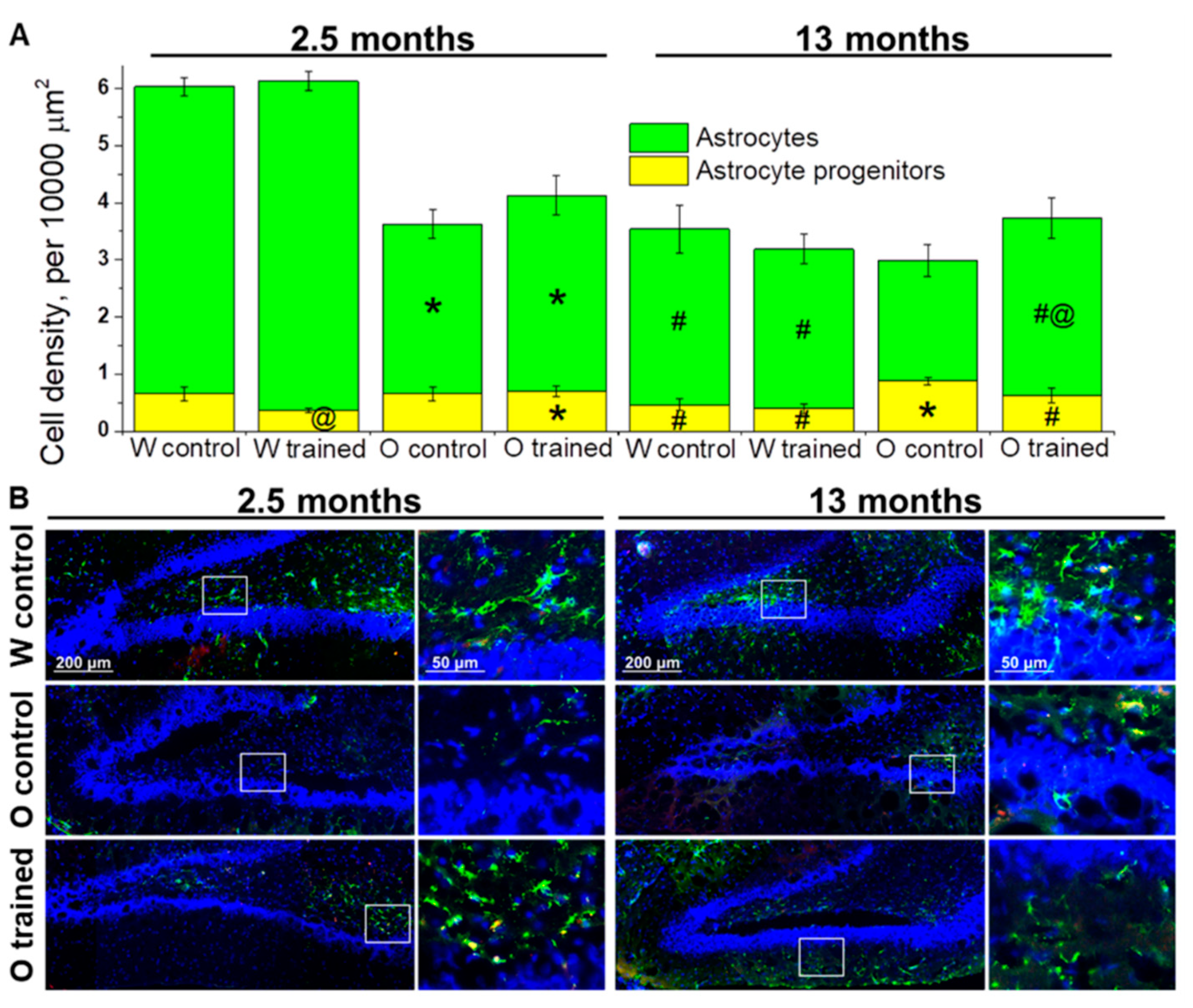 Ijms 21 06986 g004 Ijms 21 06986 g004