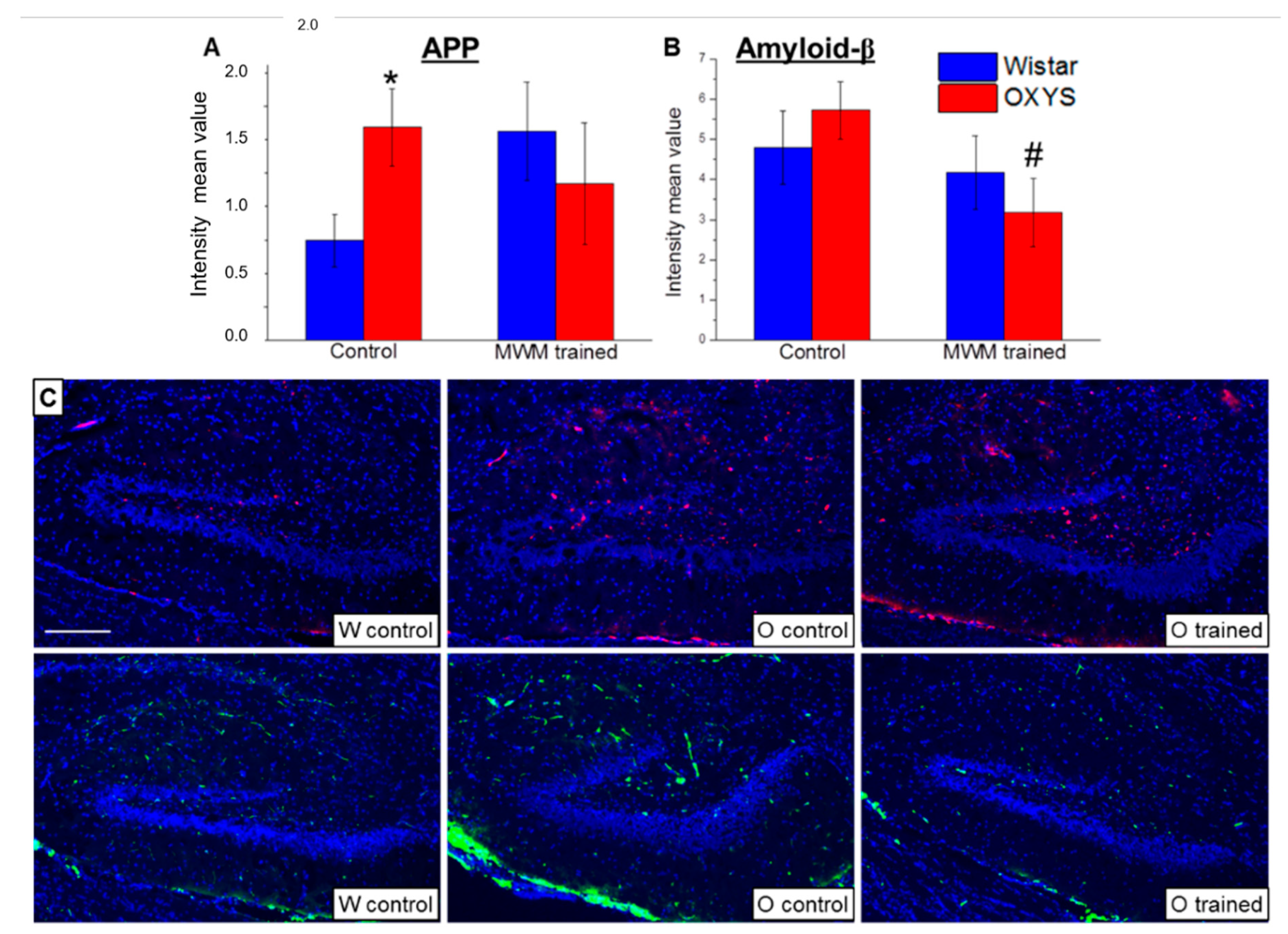 Ijms 21 06986 g005 Ijms 21 06986 g005