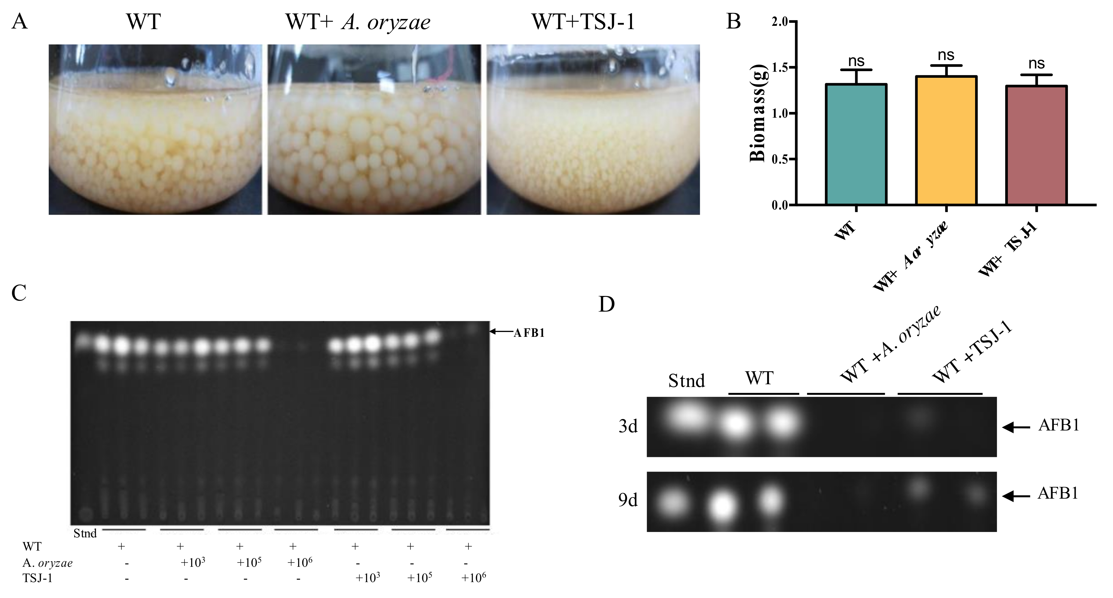 Ijms 21 06994 g001 Ijms 21 06994 g001