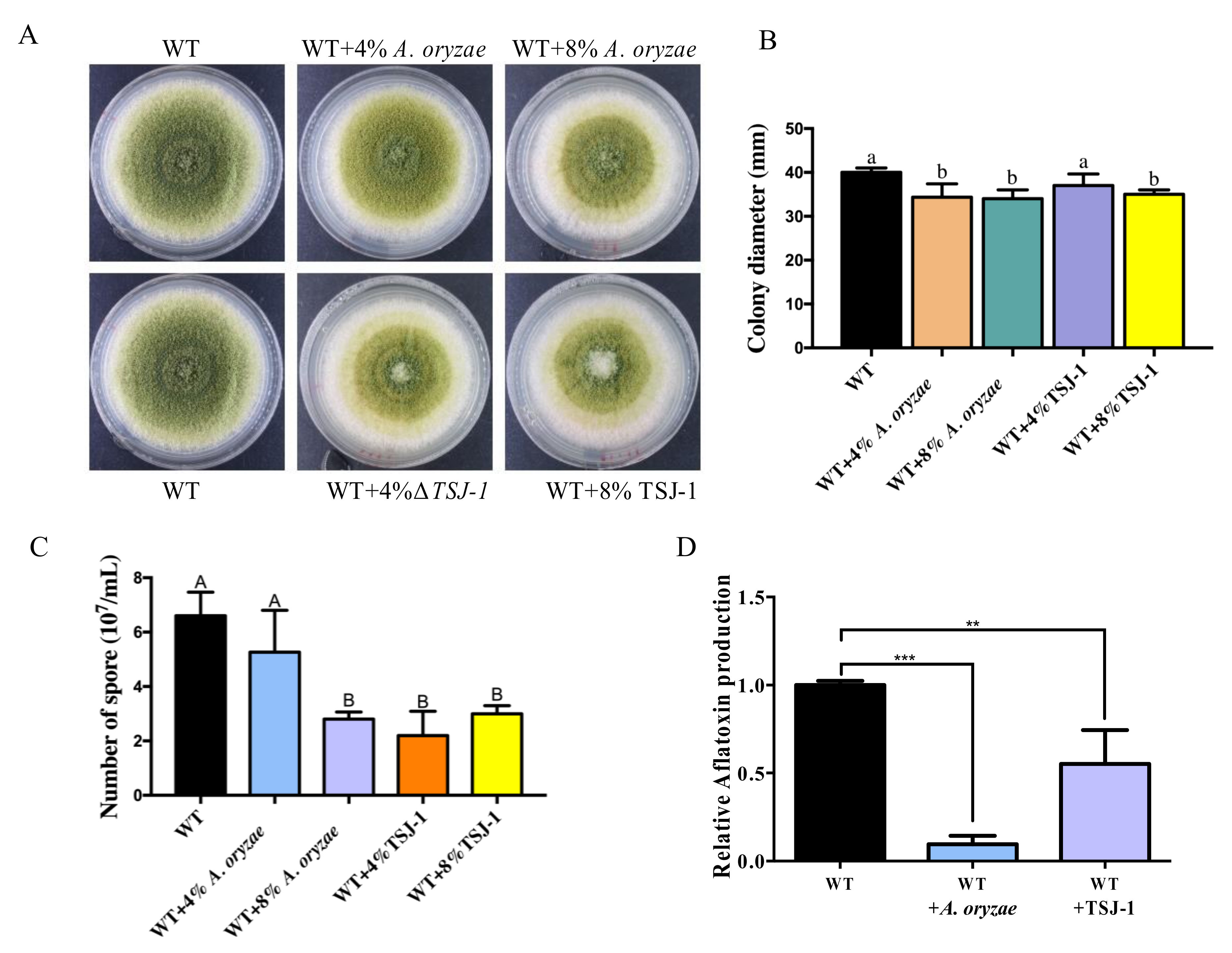 Ijms 21 06994 g002 Ijms 21 06994 g002