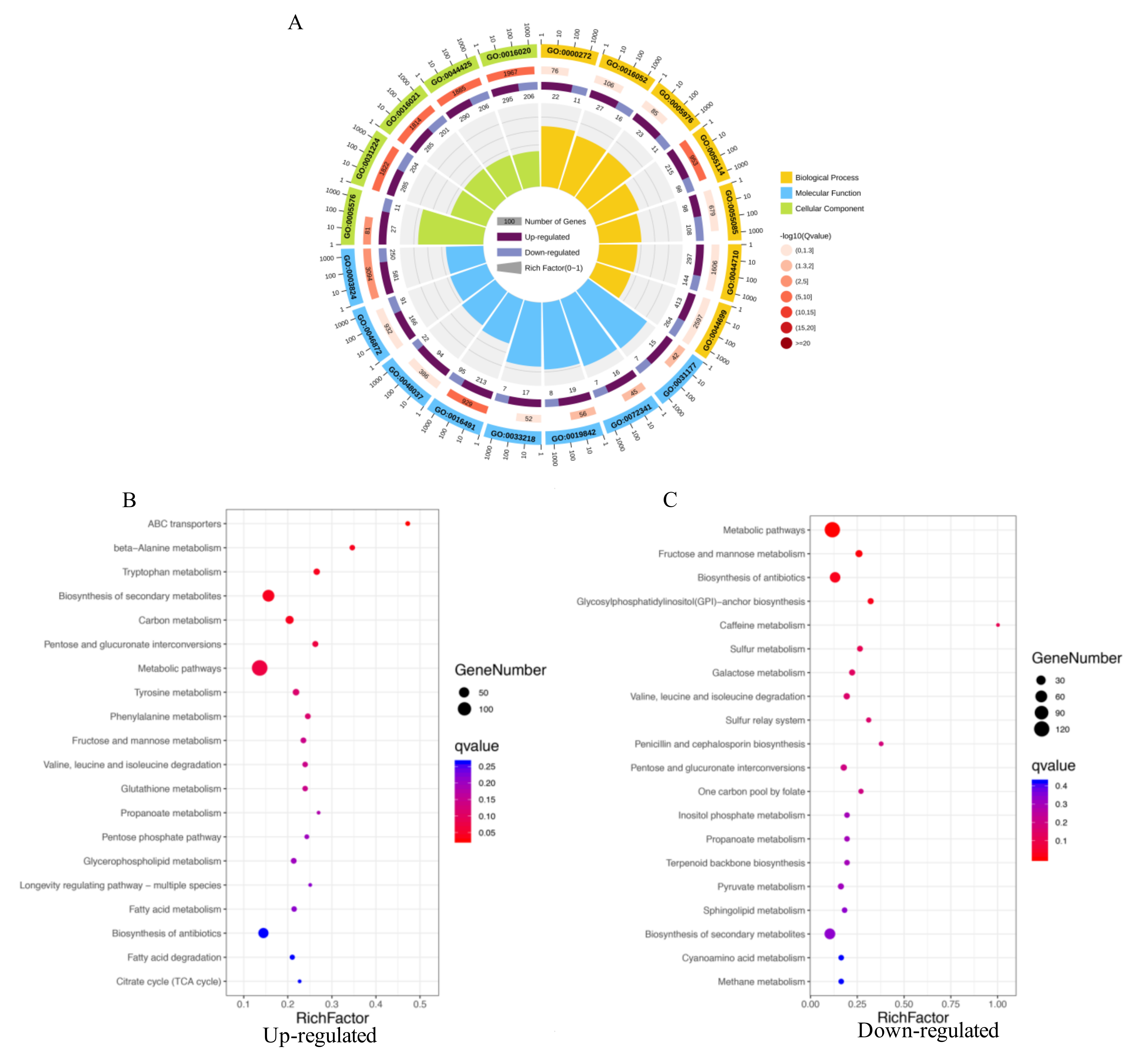 Ijms 21 06994 g004 Ijms 21 06994 g004