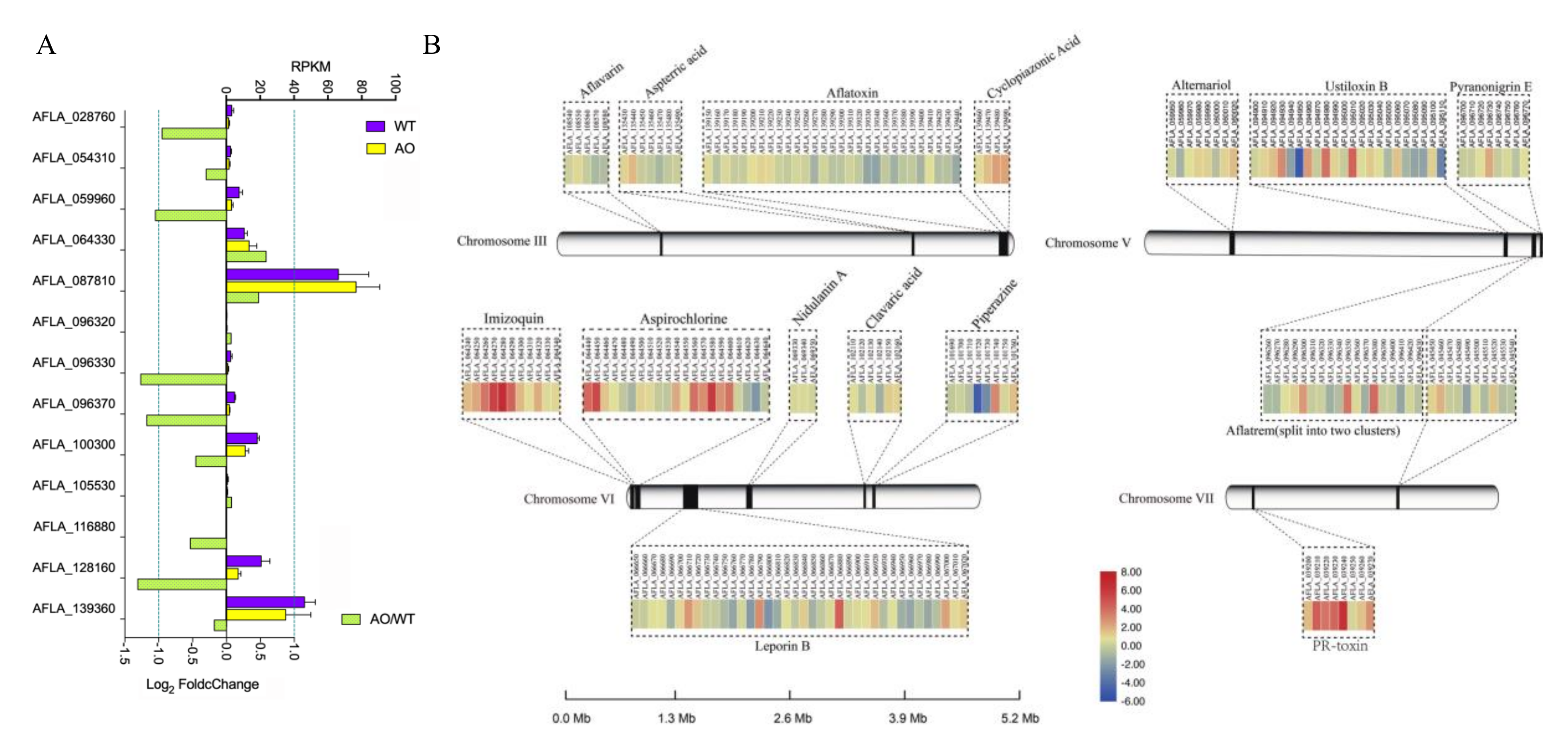 Ijms 21 06994 g006 Ijms 21 06994 g006