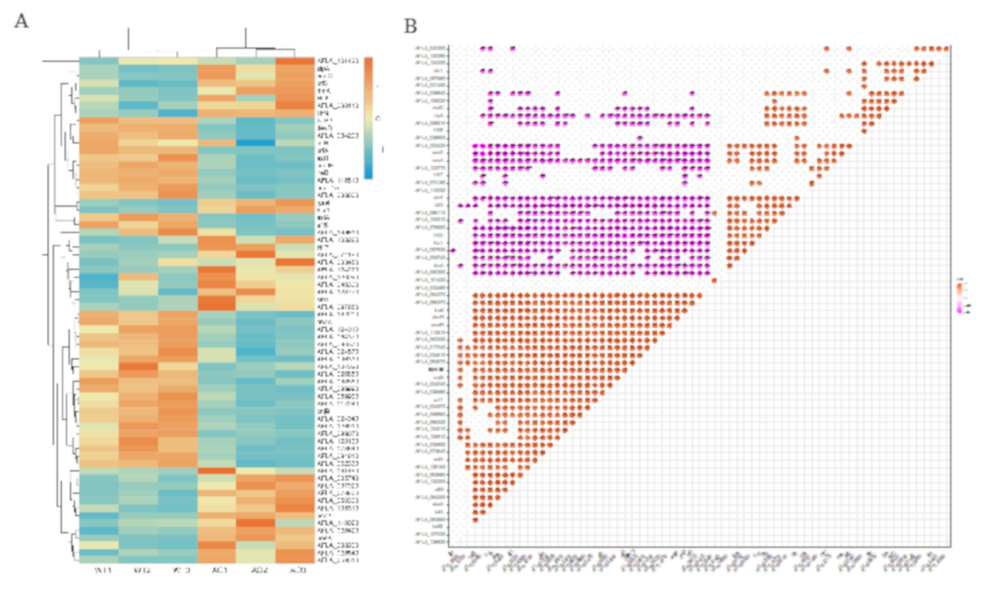 Ijms 21 06994 g007 Ijms 21 06994 g007