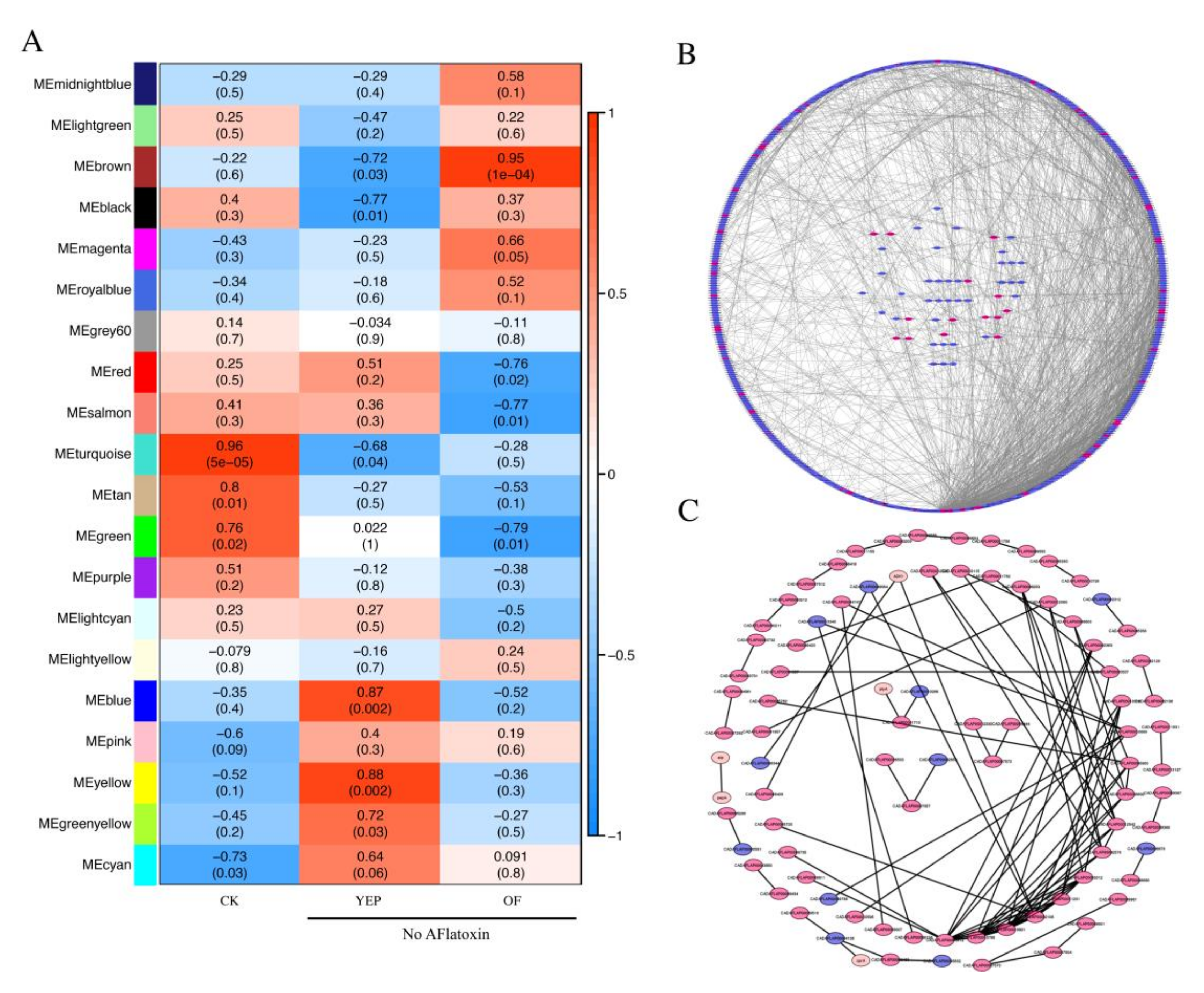 Ijms 21 06994 g008 Ijms 21 06994 g008