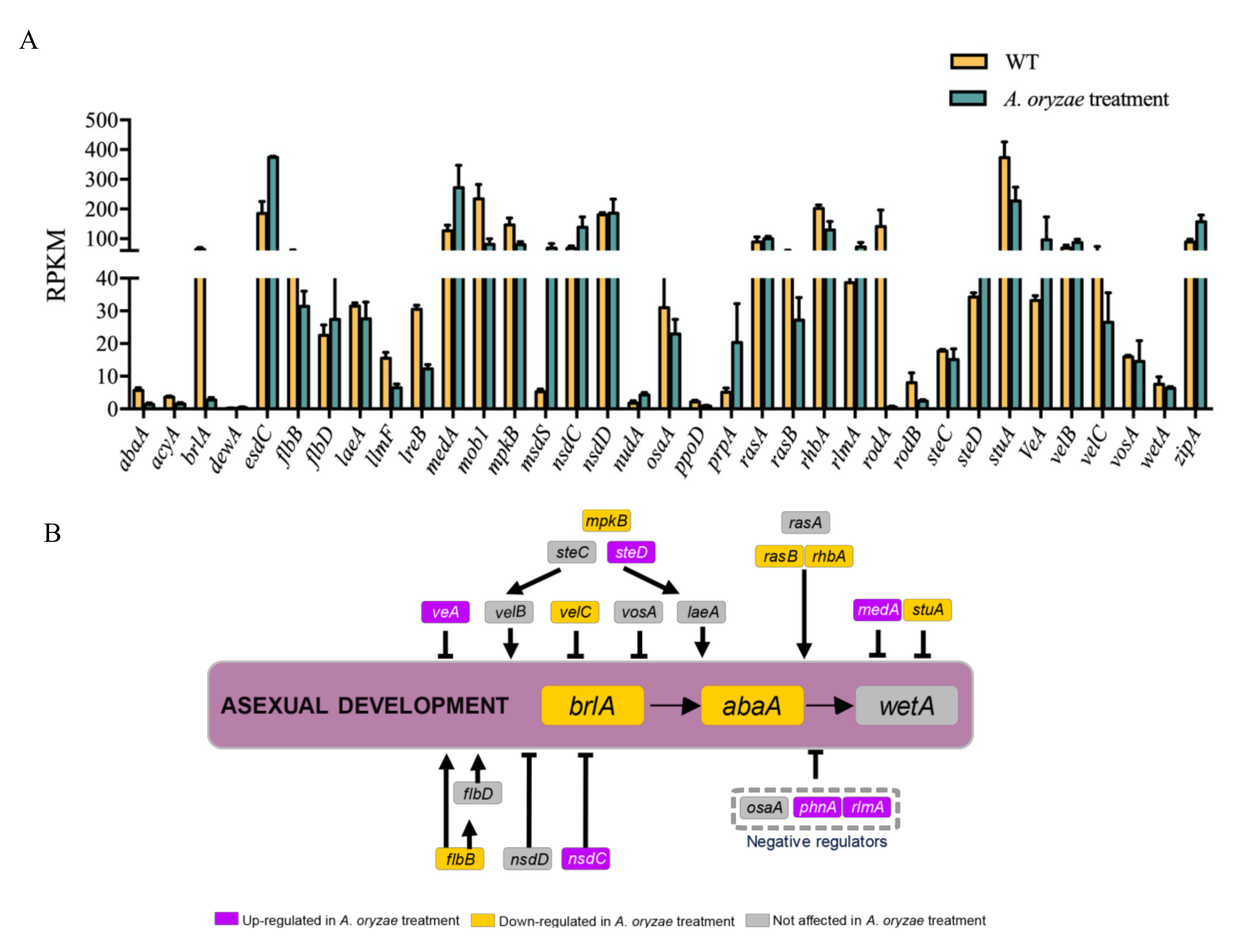Ijms 21 06994 g009 Ijms 21 06994 g009