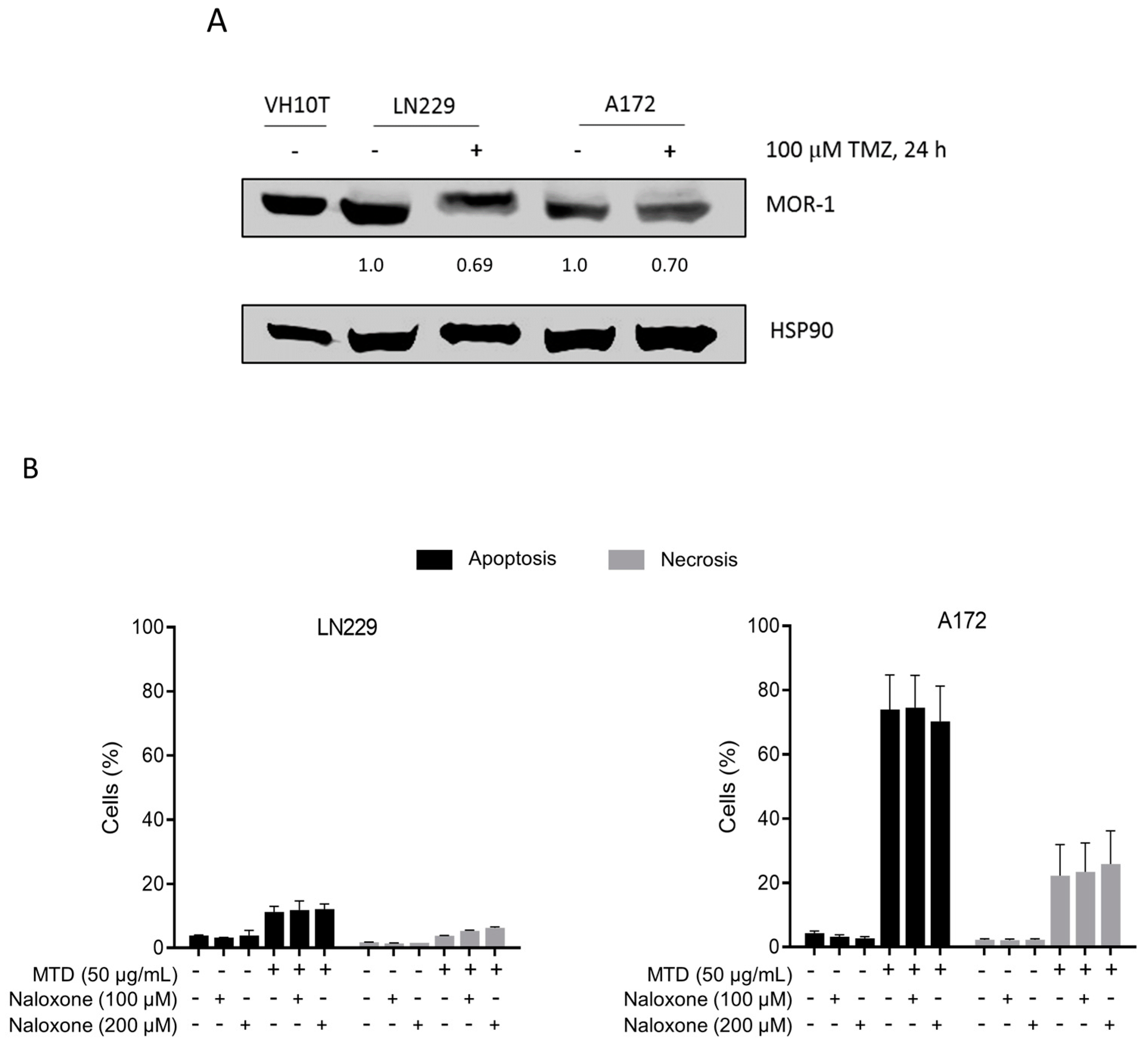 Ijms 21 07006 g005 Ijms 21 07006 g005