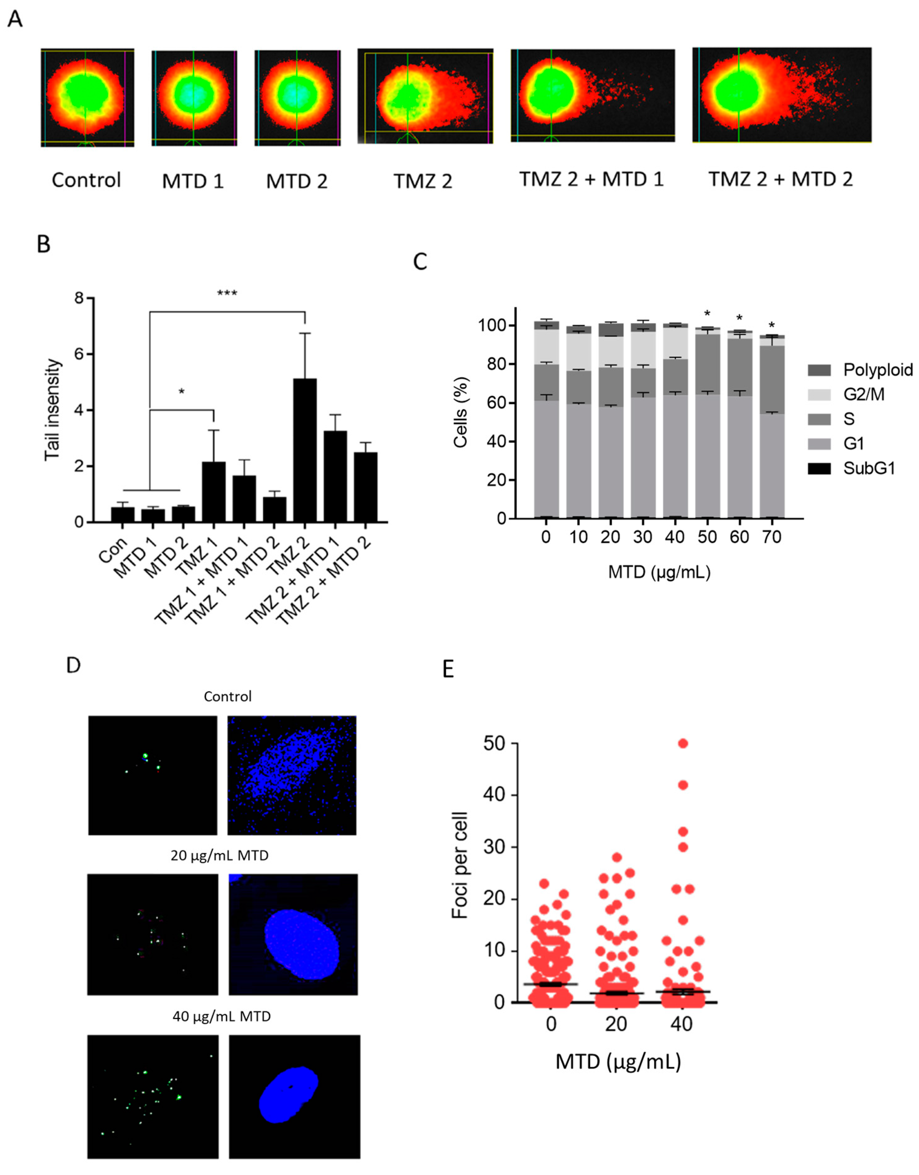 Ijms 21 07006 g010 Ijms 21 07006 g010