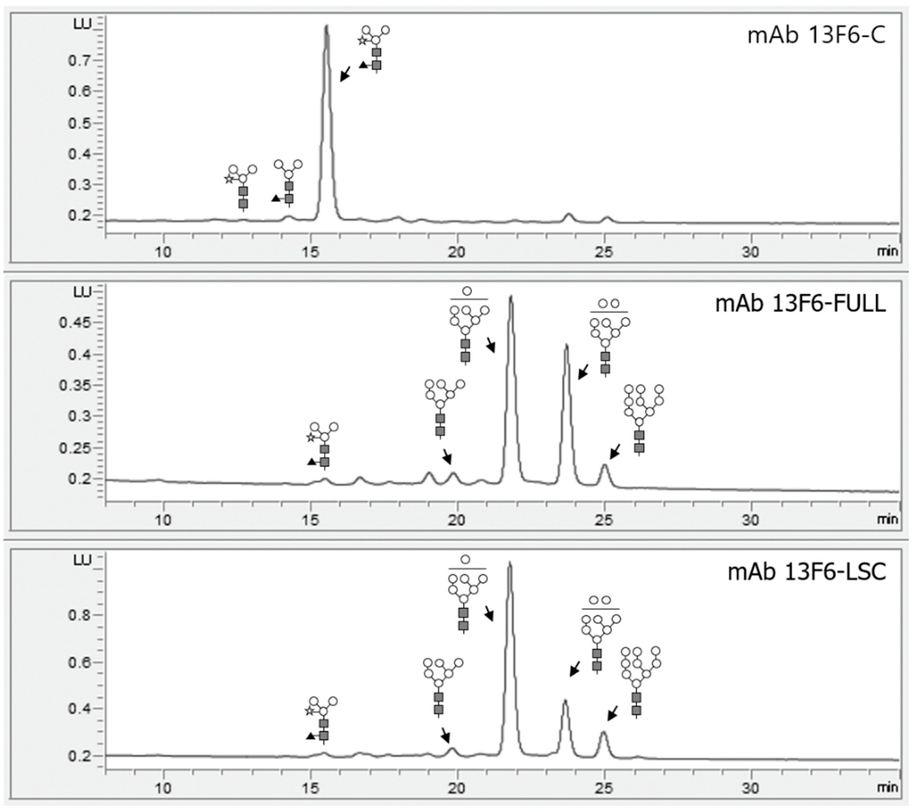 Ijms 21 07007 g005 Ijms 21 07007 g005