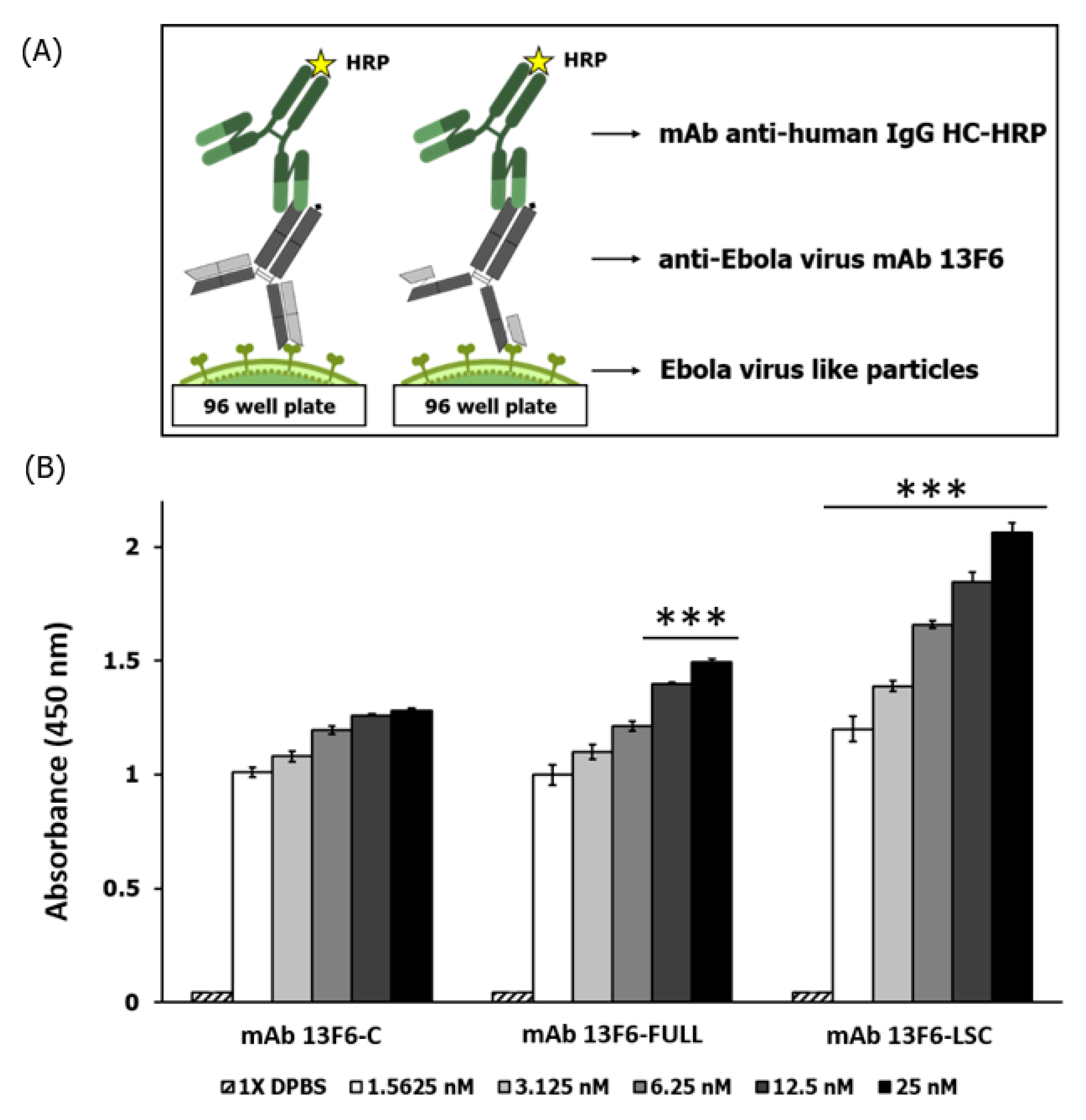 Ijms 21 07007 g007 Ijms 21 07007 g007