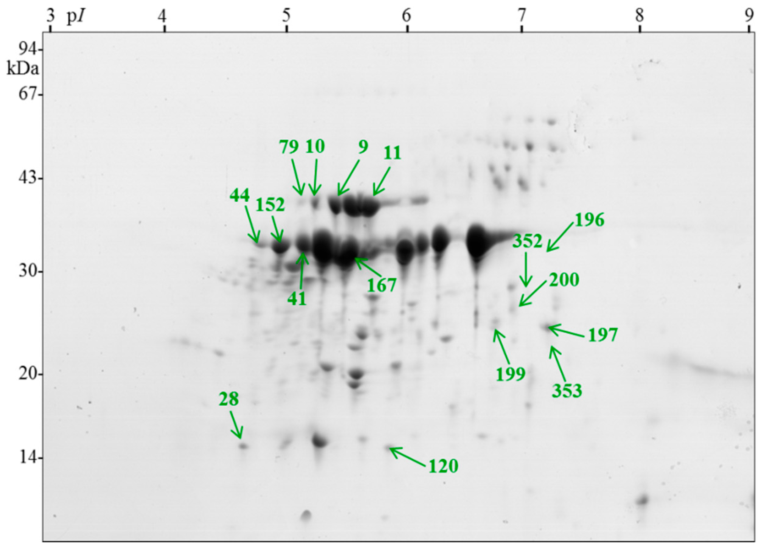 Ijms 21 07008 g002 Ijms 21 07008 g002