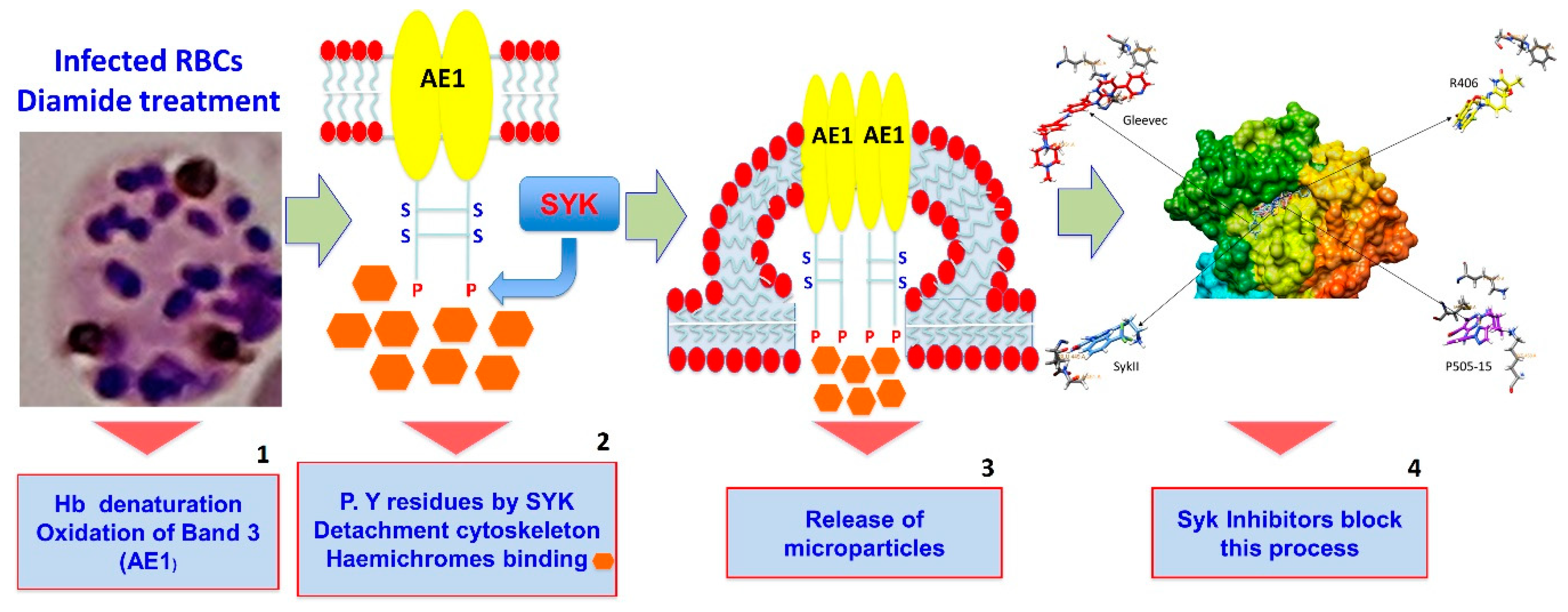 Ijms 21 07009 sch001