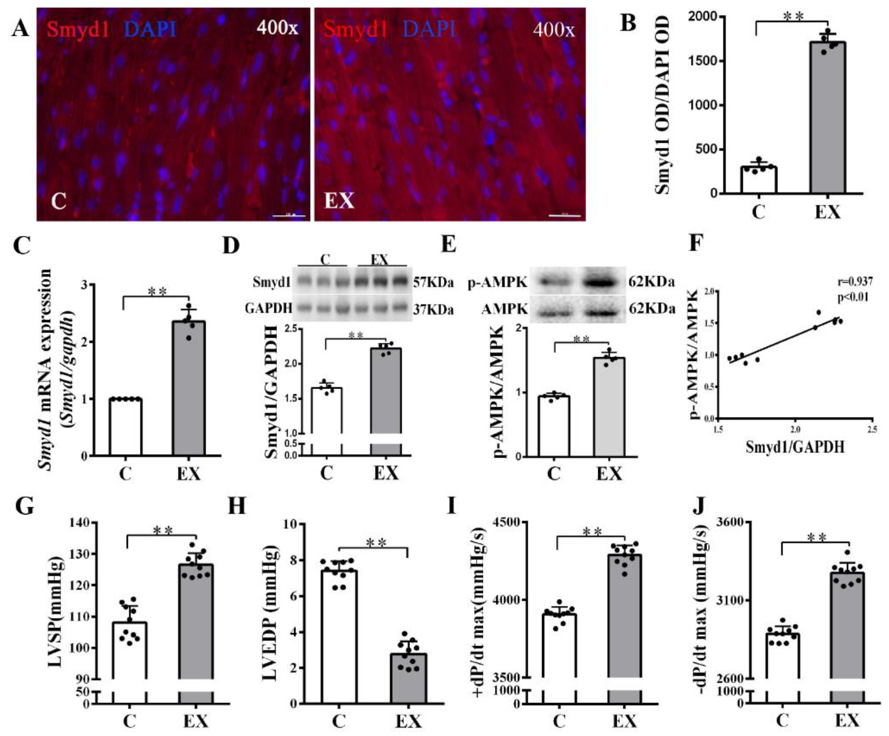 Ijms 21 07010 g001 Ijms 21 07010 g001