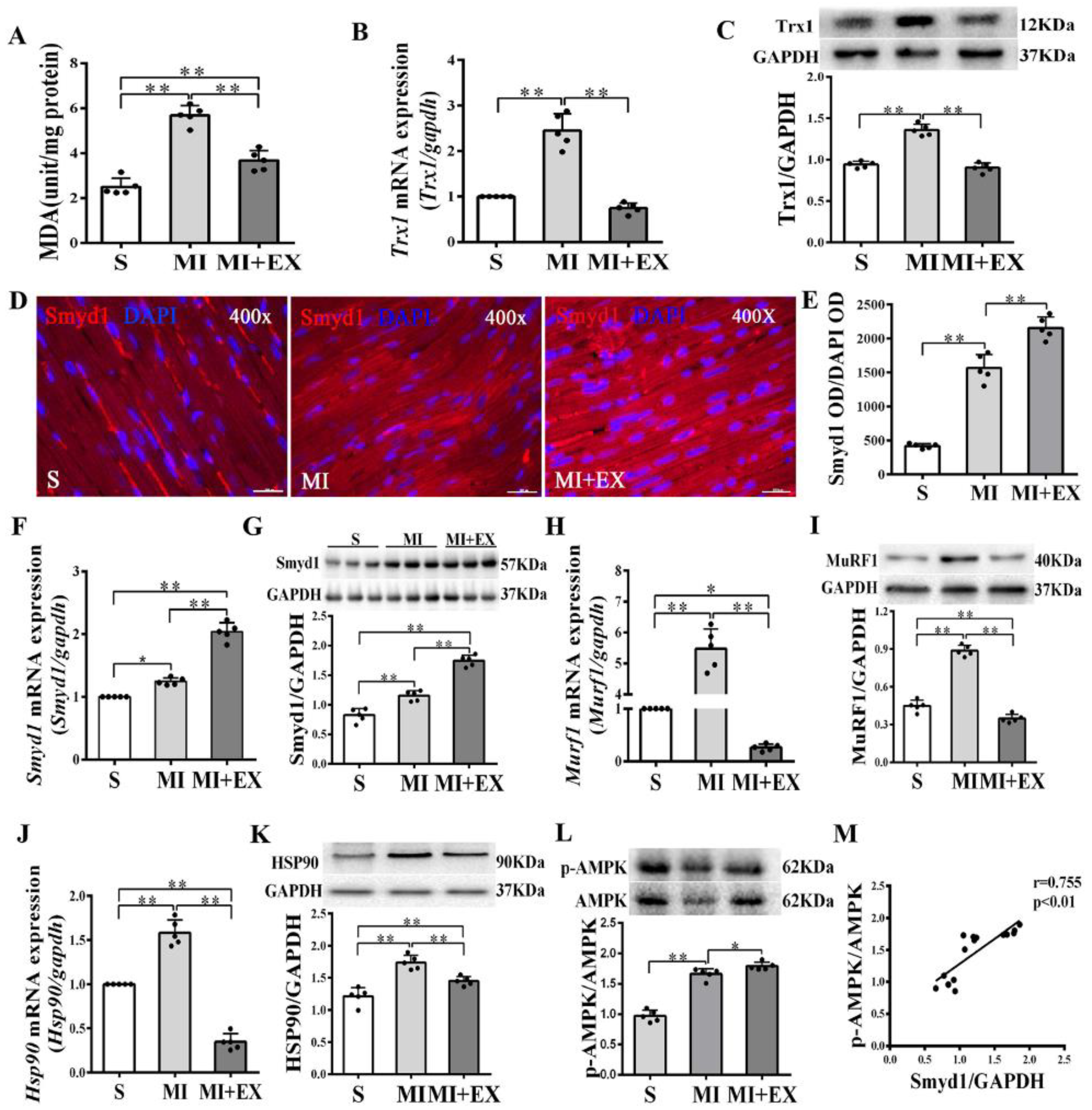 Ijms 21 07010 g002 Ijms 21 07010 g002