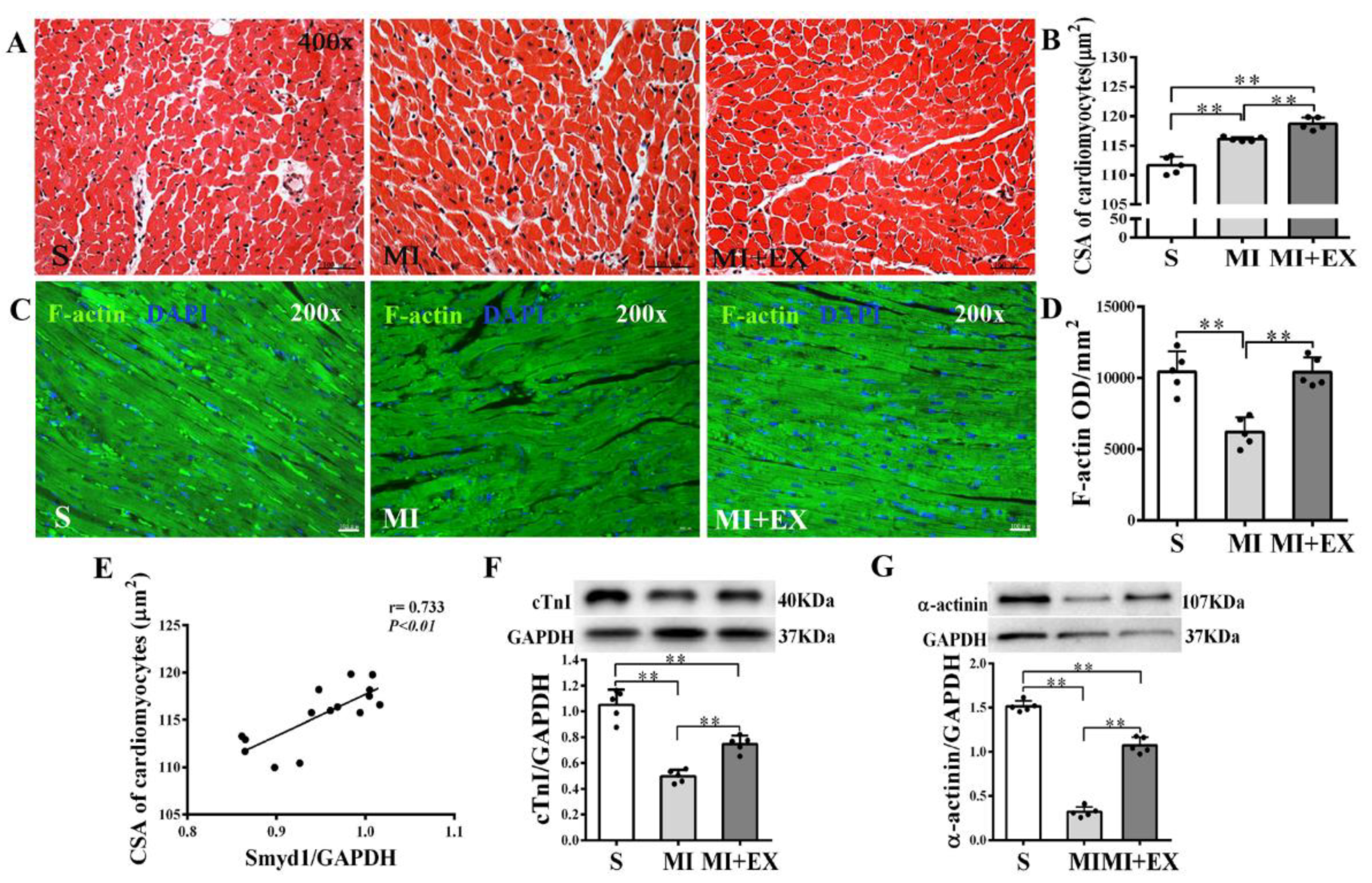 Ijms 21 07010 g003 Ijms 21 07010 g003