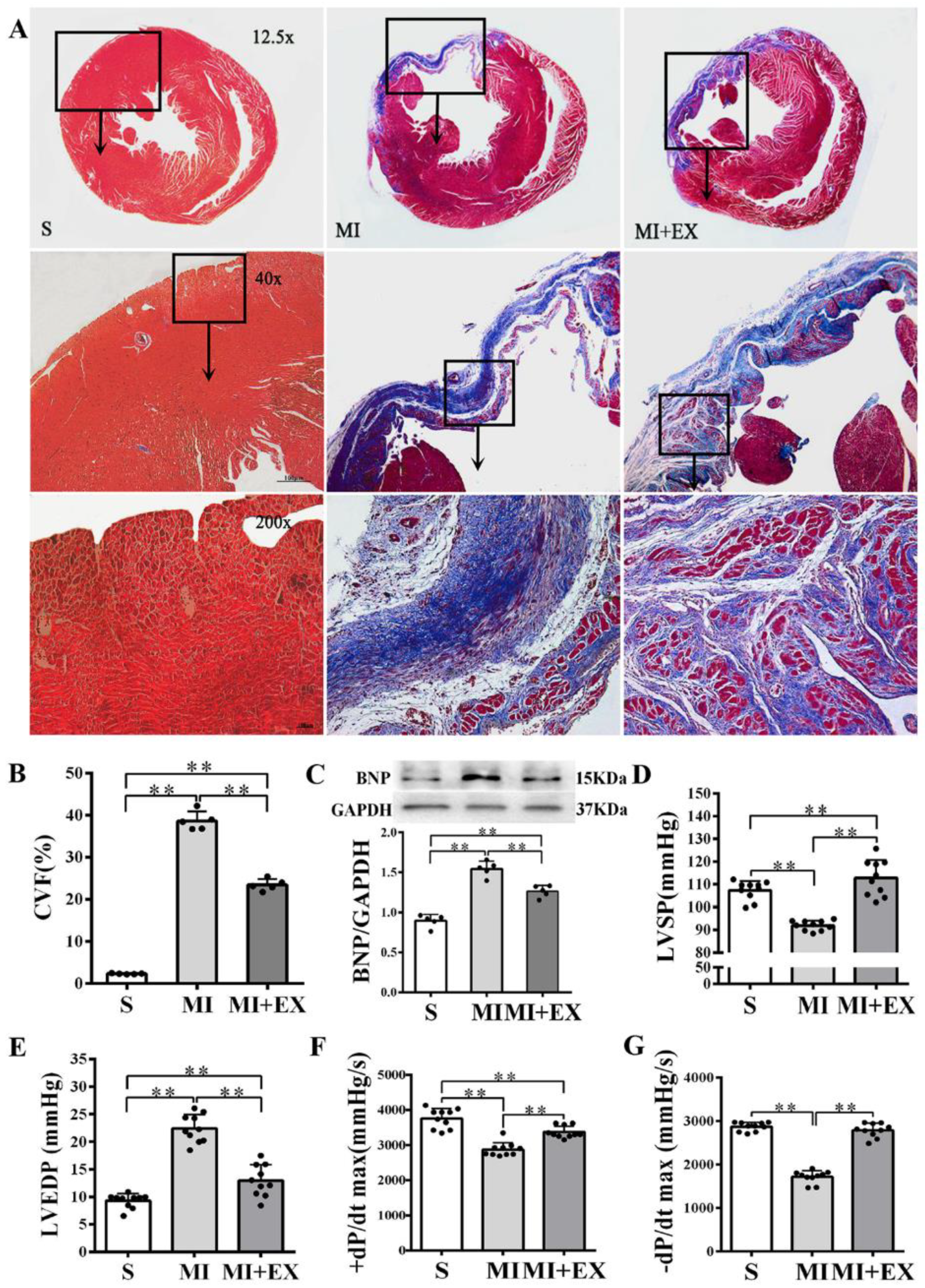 Ijms 21 07010 g004 Ijms 21 07010 g004