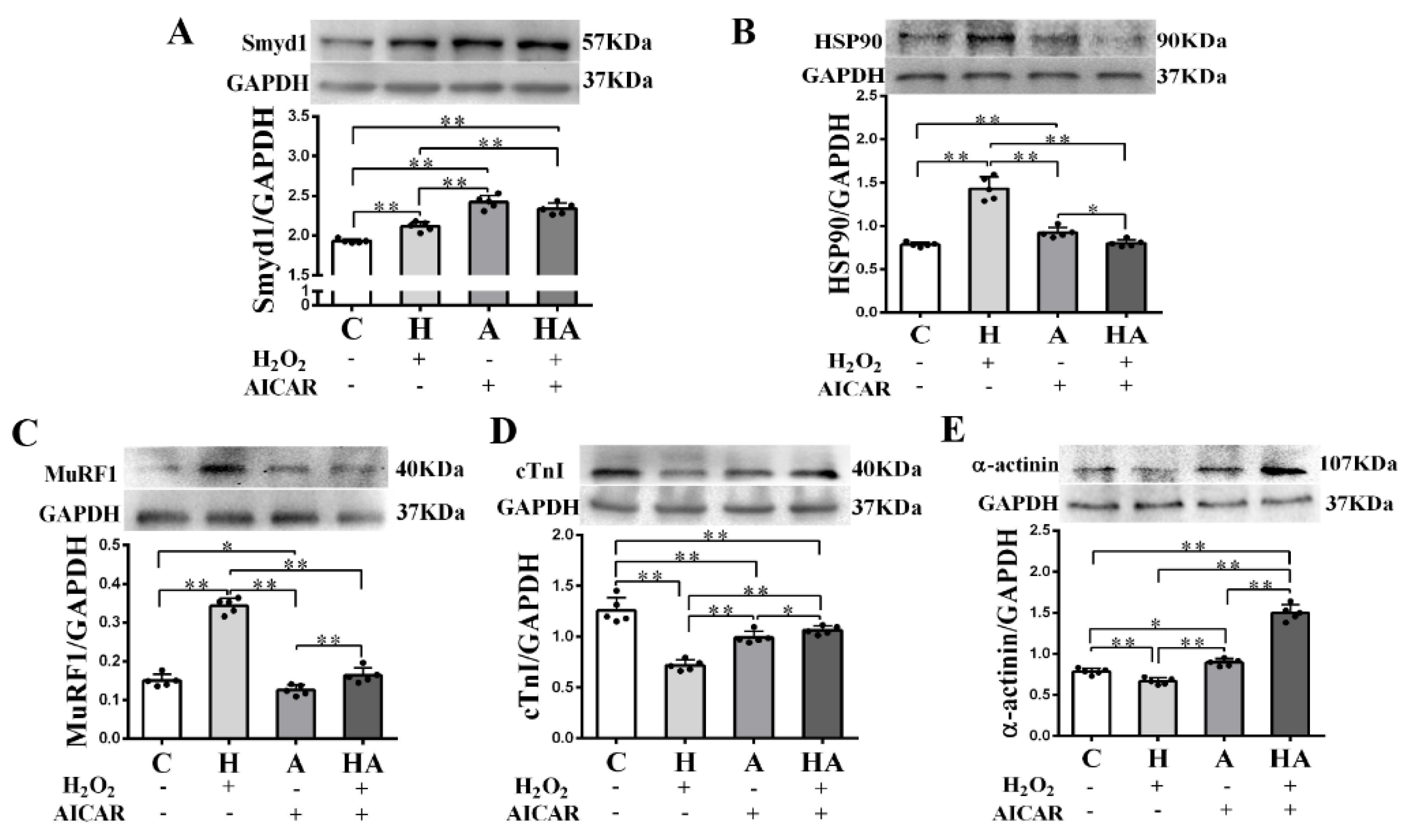 Ijms 21 07010 g007 Ijms 21 07010 g007