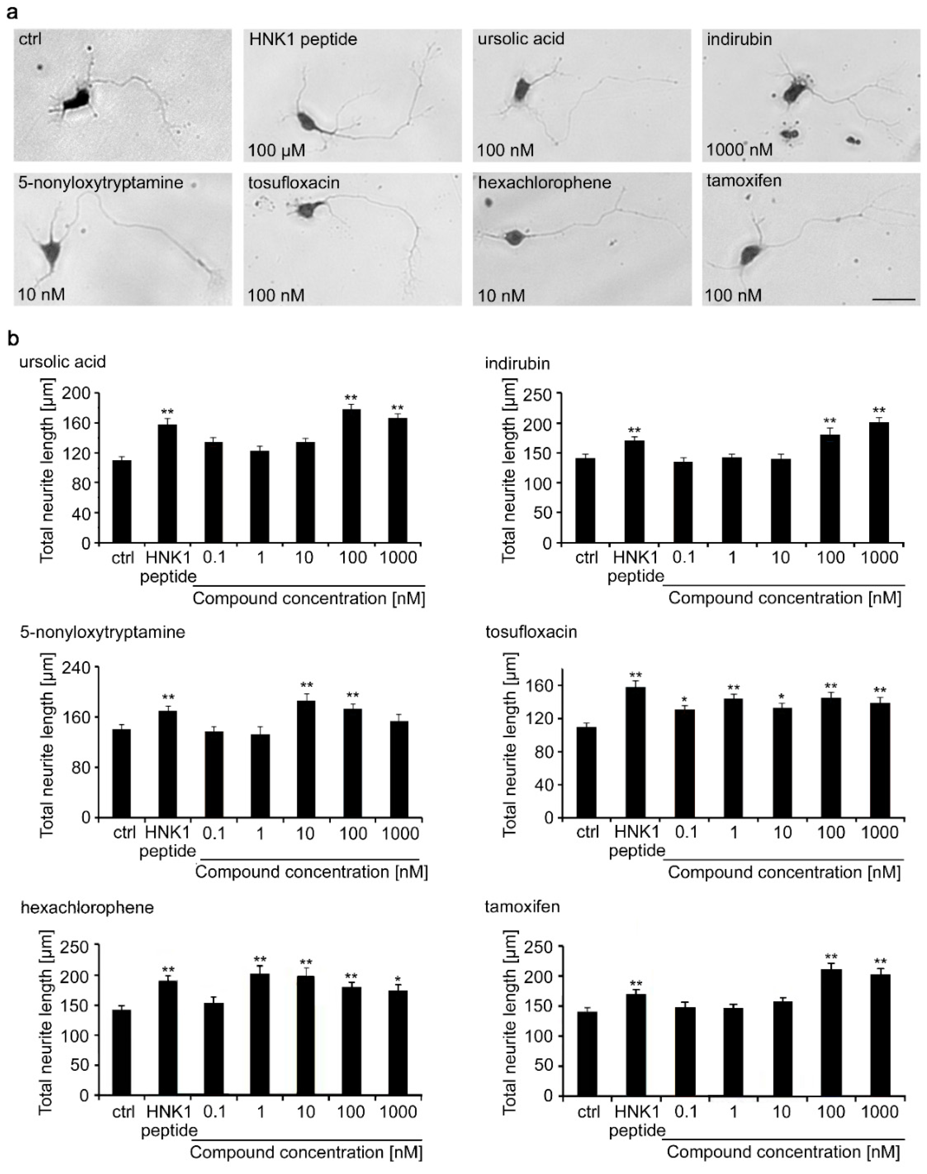 Ijms 21 07018 g002 Ijms 21 07018 g002