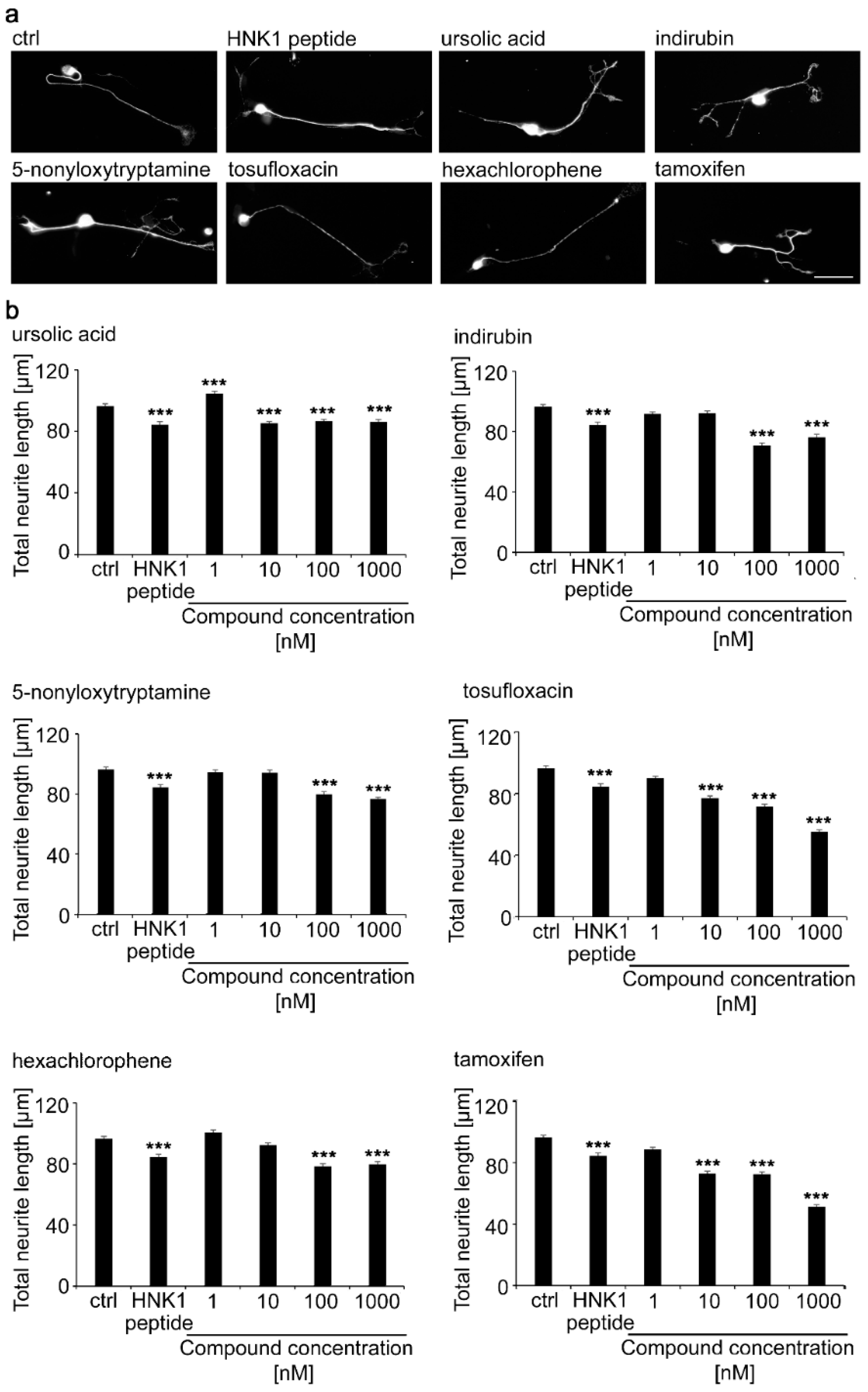 Ijms 21 07018 g005 Ijms 21 07018 g005
