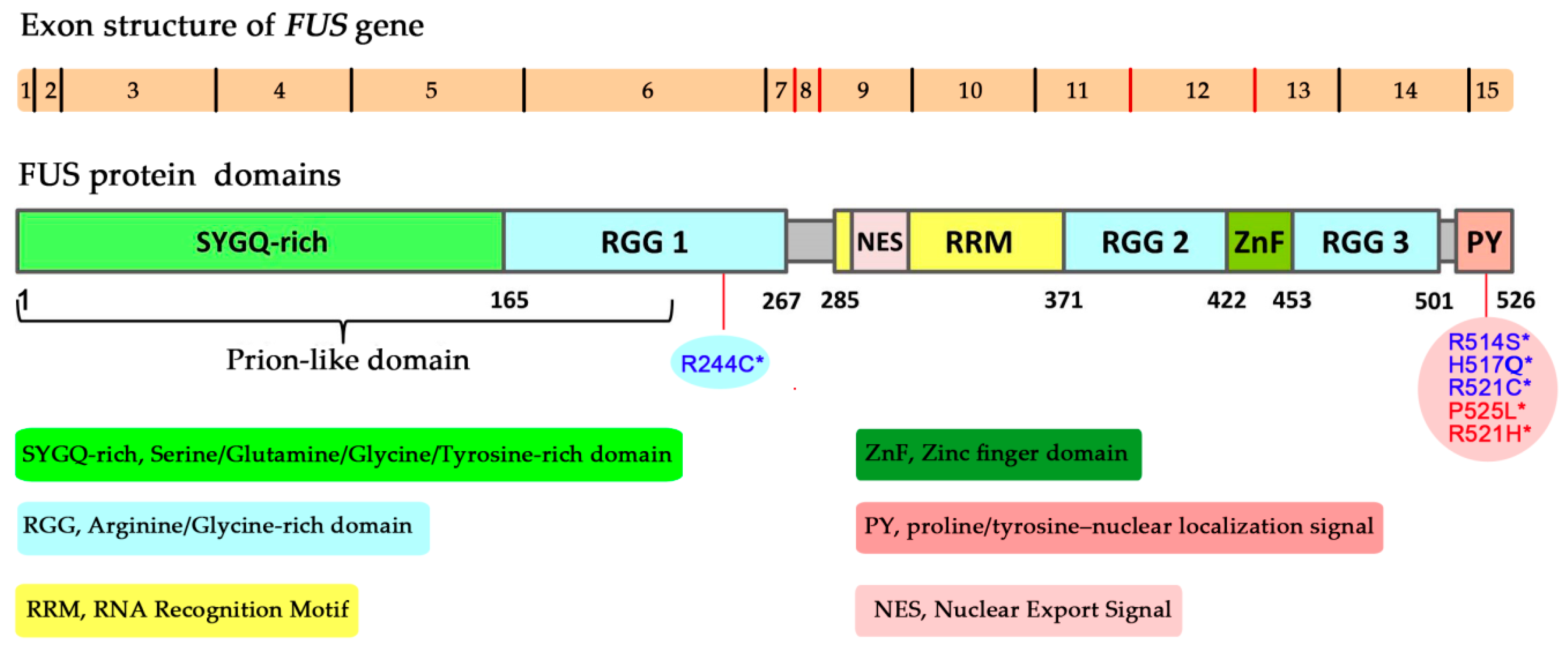 Ijms 21 07020 g001 Ijms 21 07020 g001