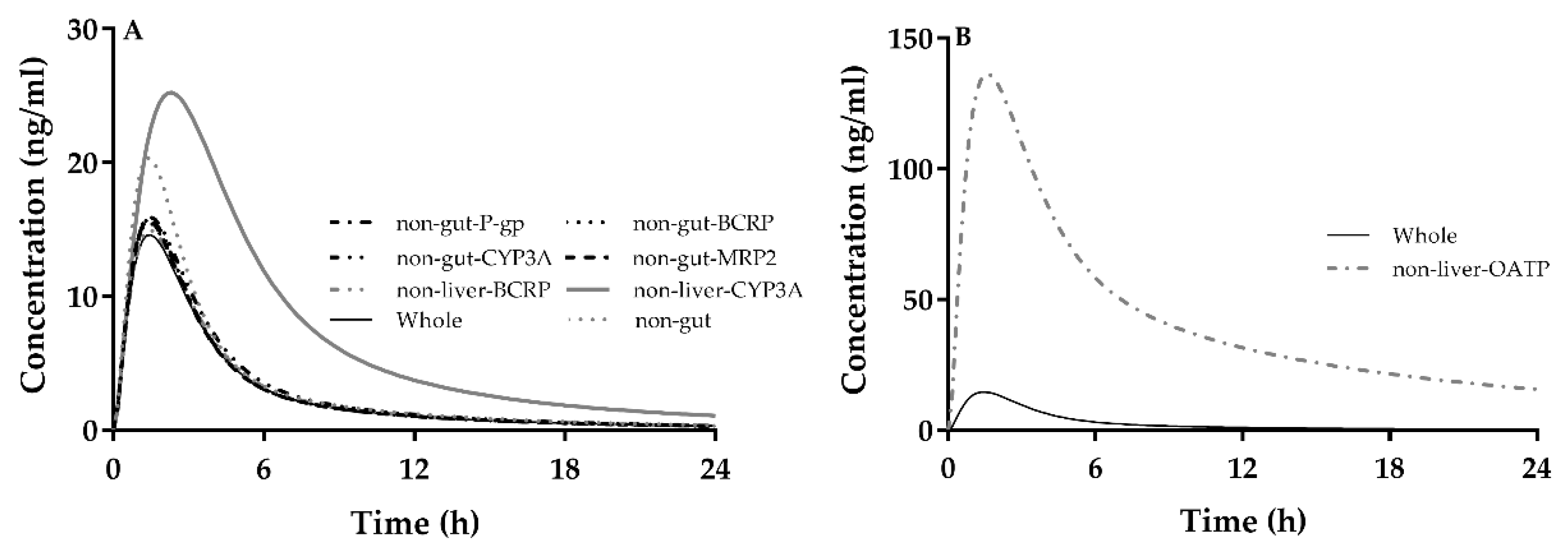 Ijms 21 07023 g004 Ijms 21 07023 g004