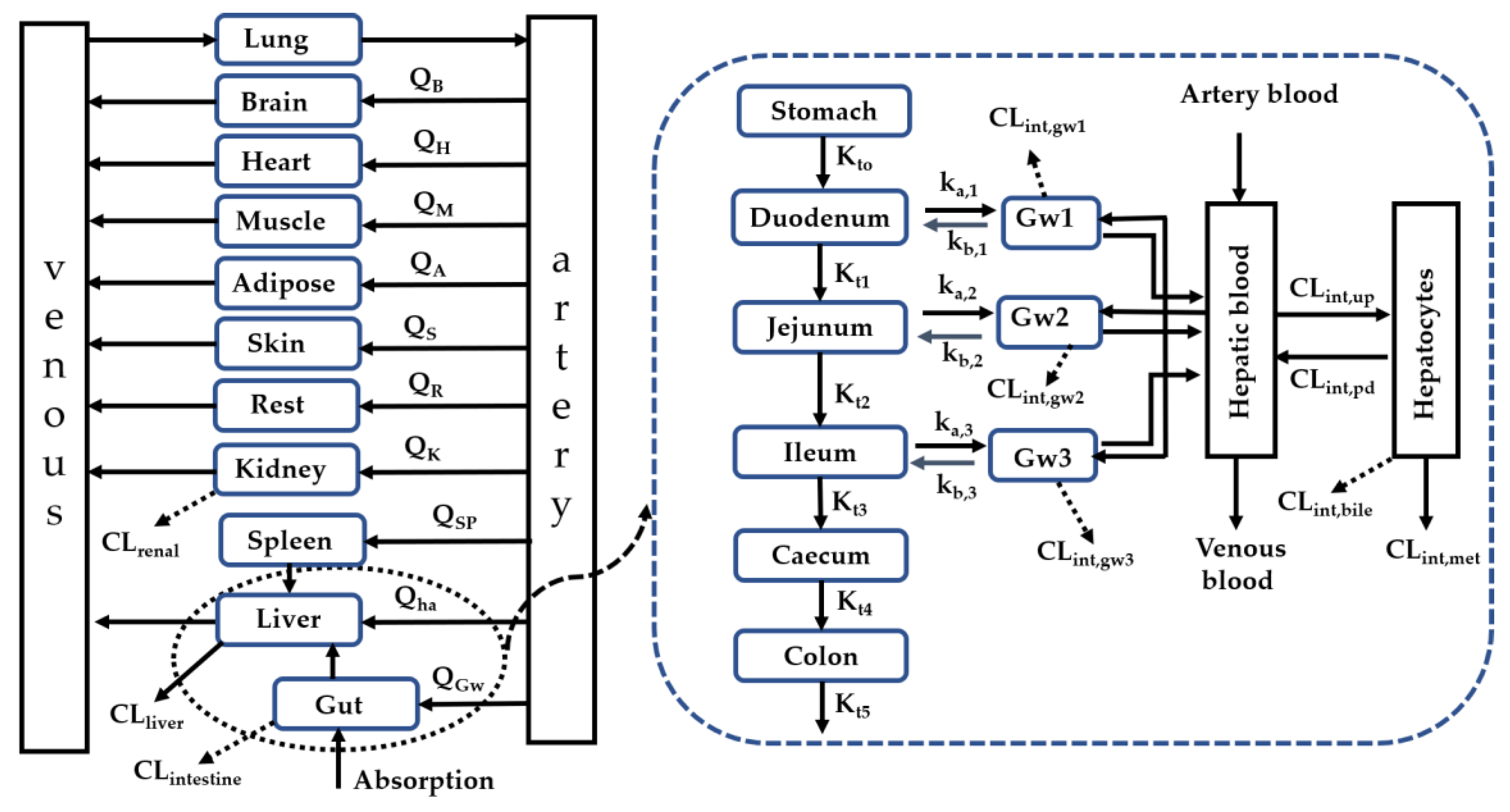 Ijms 21 07023 g005 Ijms 21 07023 g005
