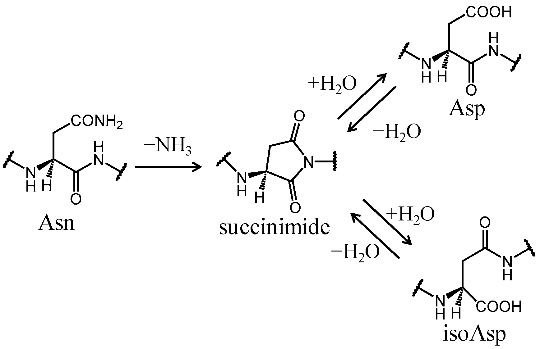 Ijms 21 07035 g001 Ijms 21 07035 g001