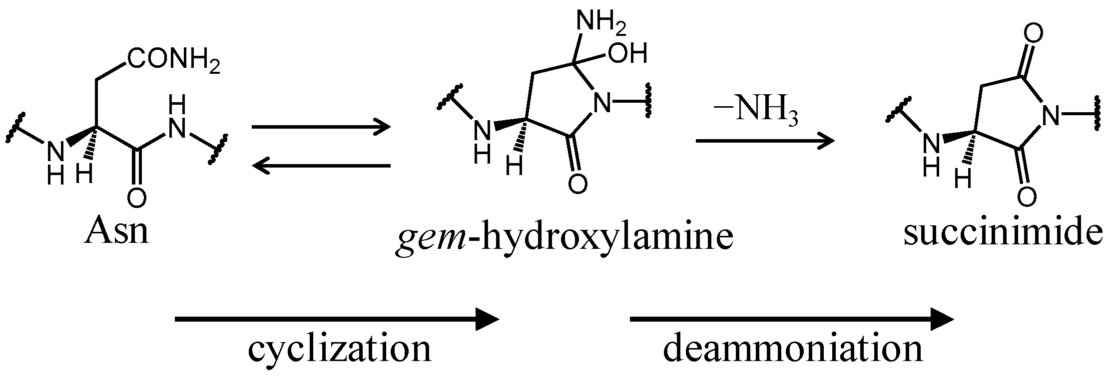 Ijms 21 07035 g002 Ijms 21 07035 g002