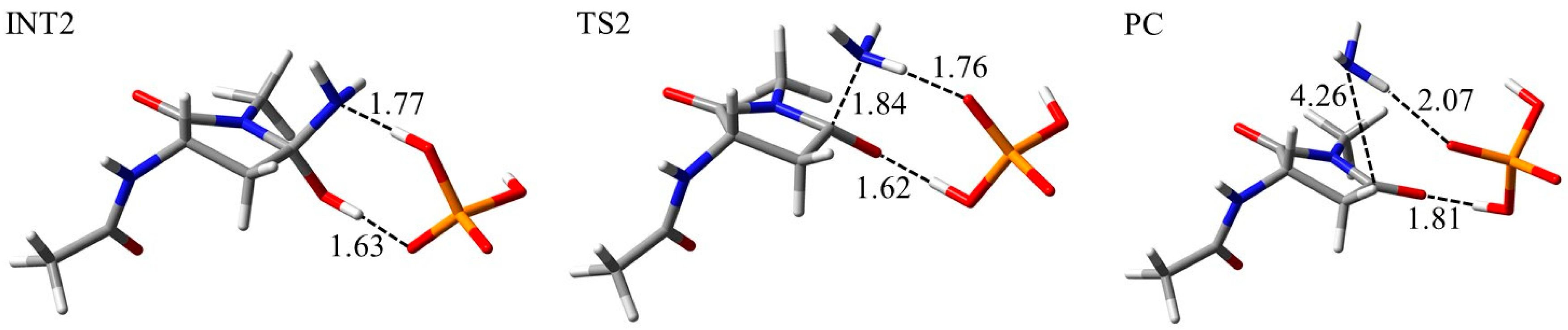 Ijms 21 07035 g009 Ijms 21 07035 g009